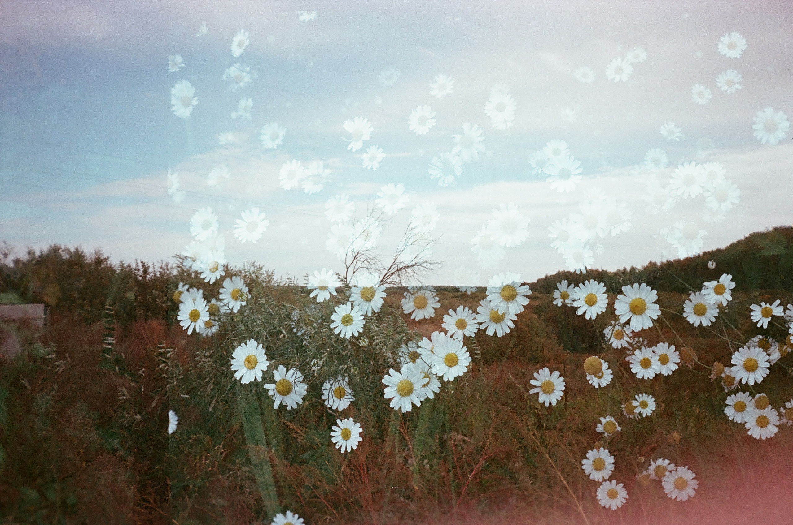 Искать. Подсвечивать. Прятать