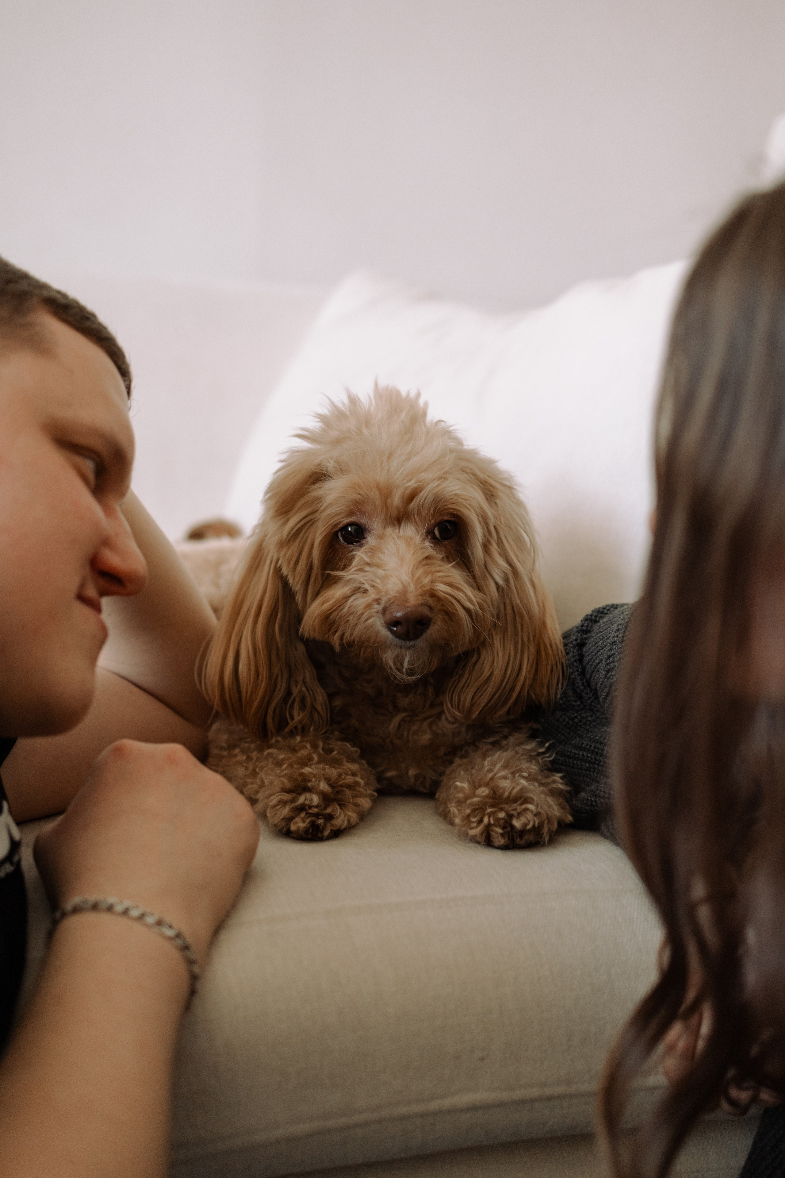 Шкипер и его семья. Фотограф — Анималист | Санкт-Петербург