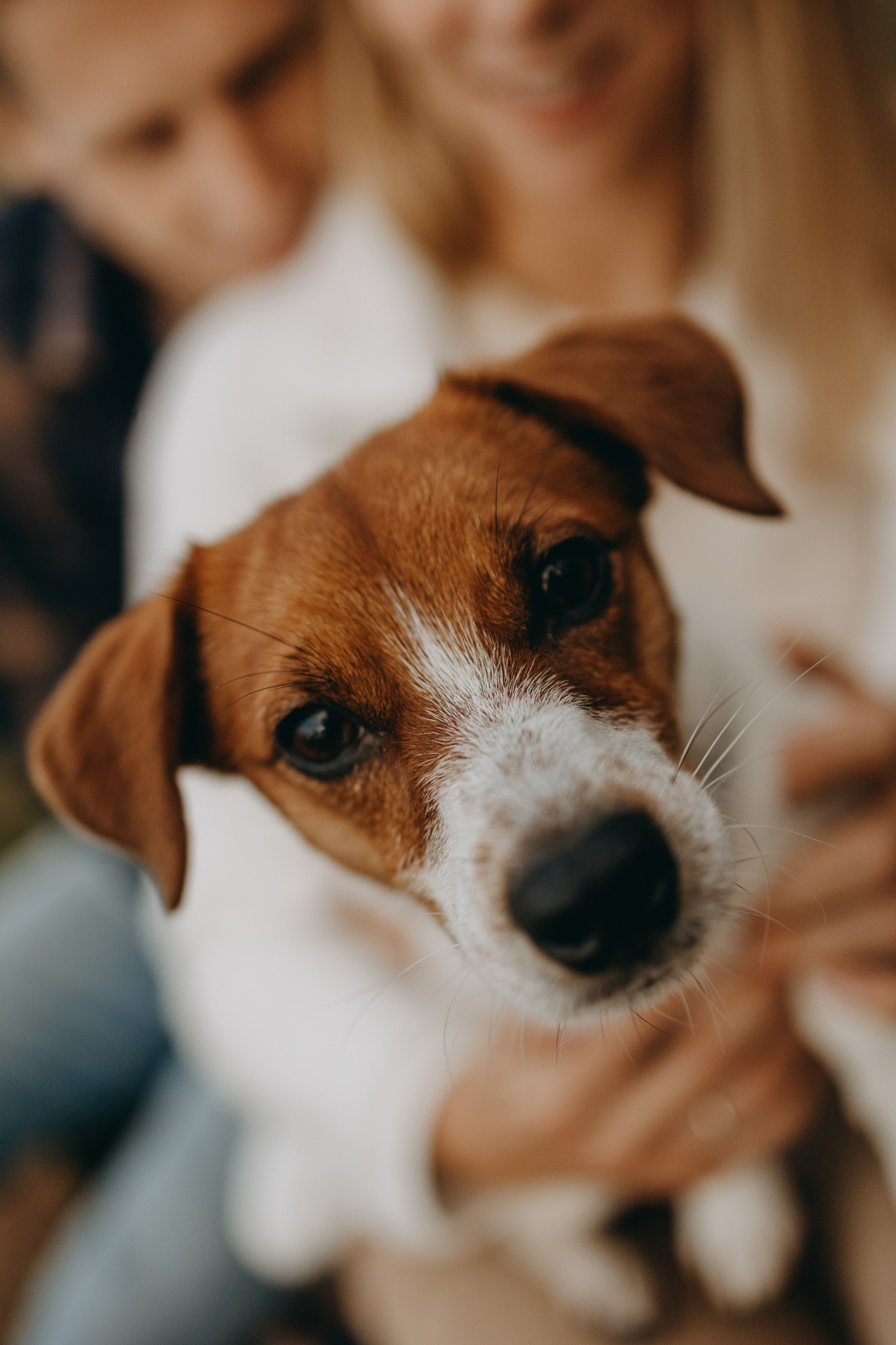 Лея и ее семья. Фотограф — Анималист | Санкт-Петербург