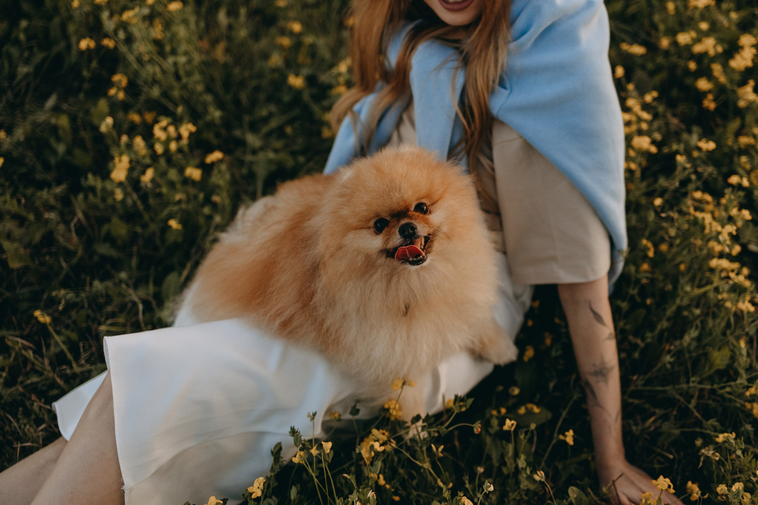 Стив и его семья. Фотограф — Анималист | Санкт-Петербург