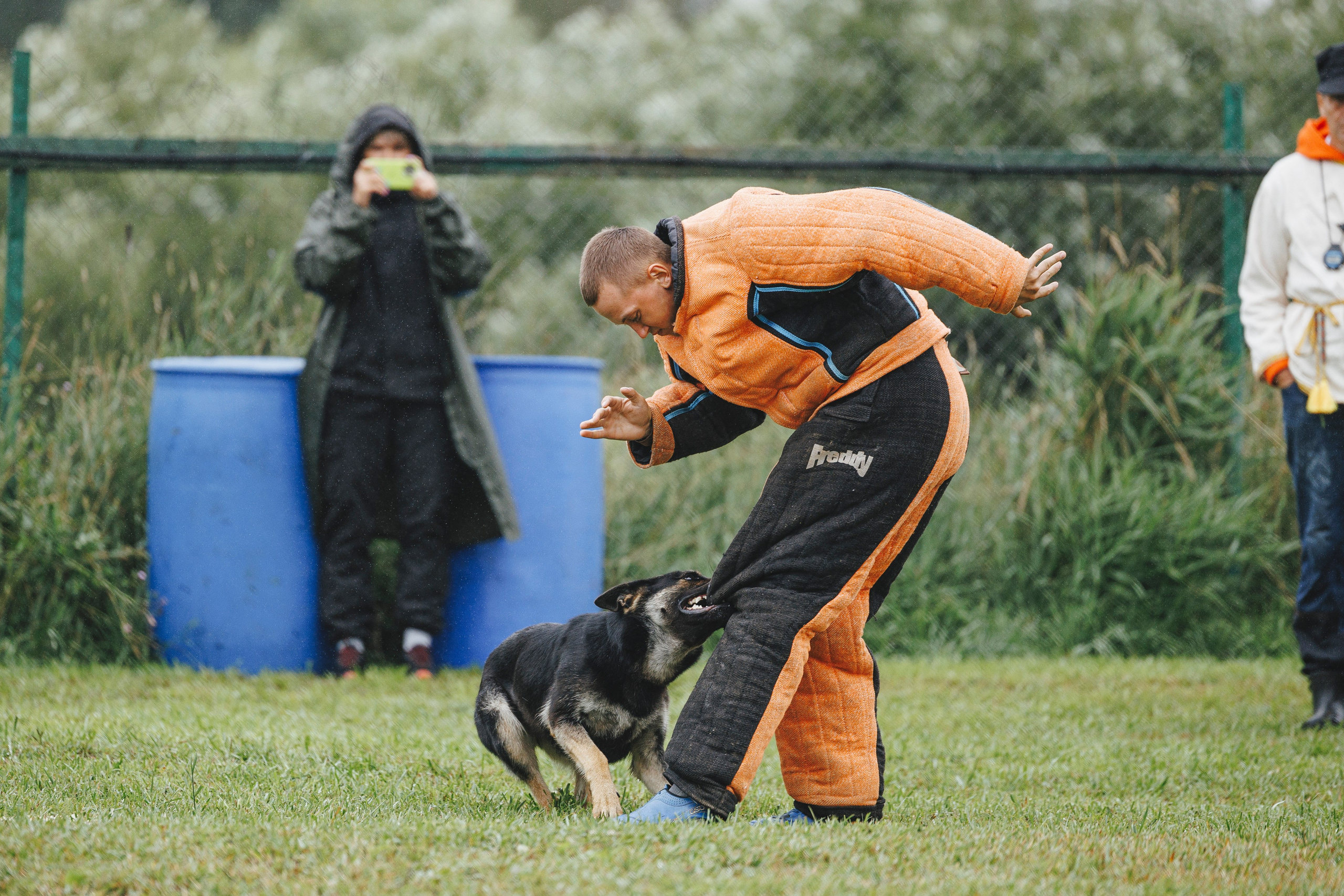 08.08.25-10.08.25 ЧР по мондьорингу г. Вологда. Фотограф-анималист Анна Маринич