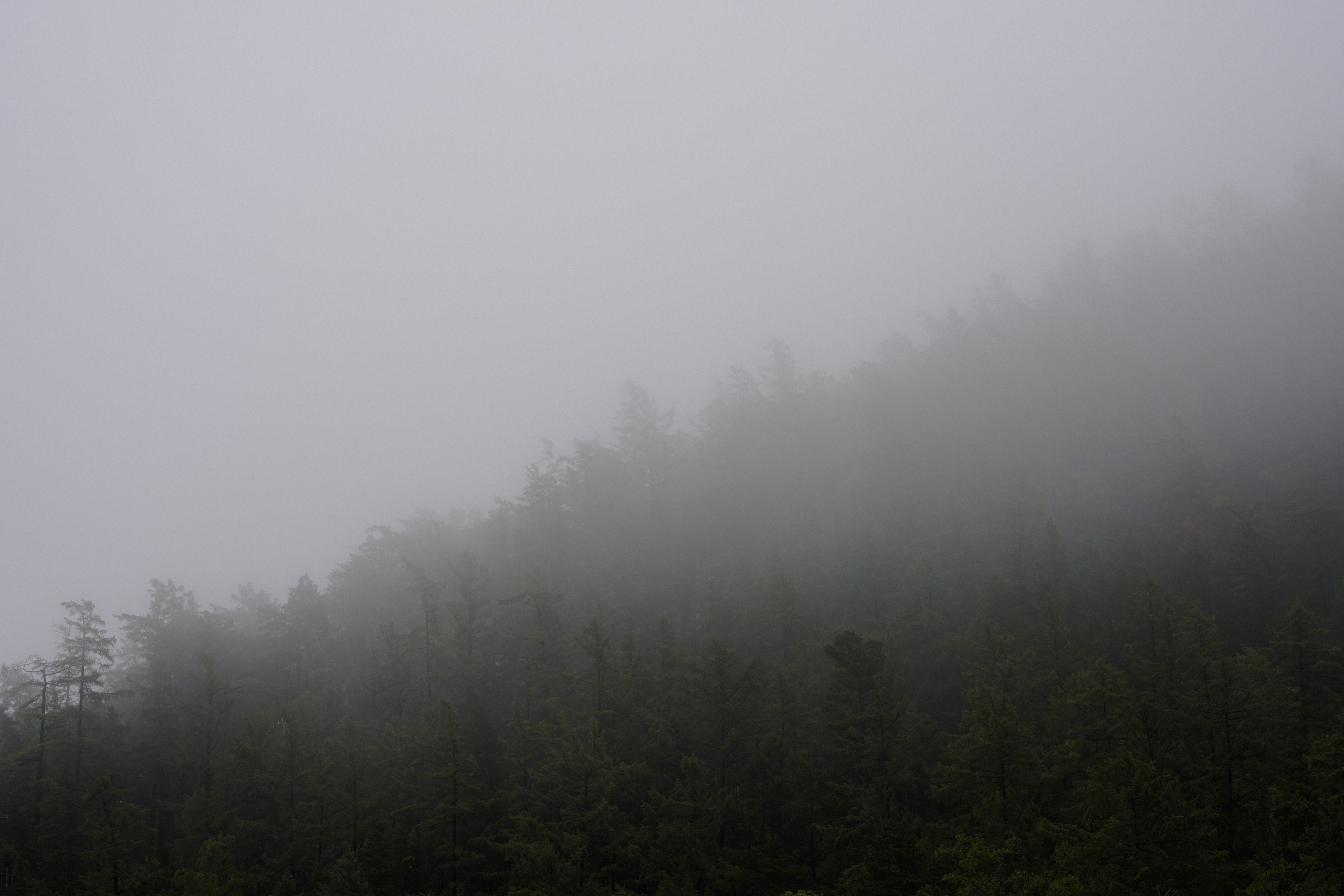 BAIKAL 06|24. Фотограф Виктория Виноградова