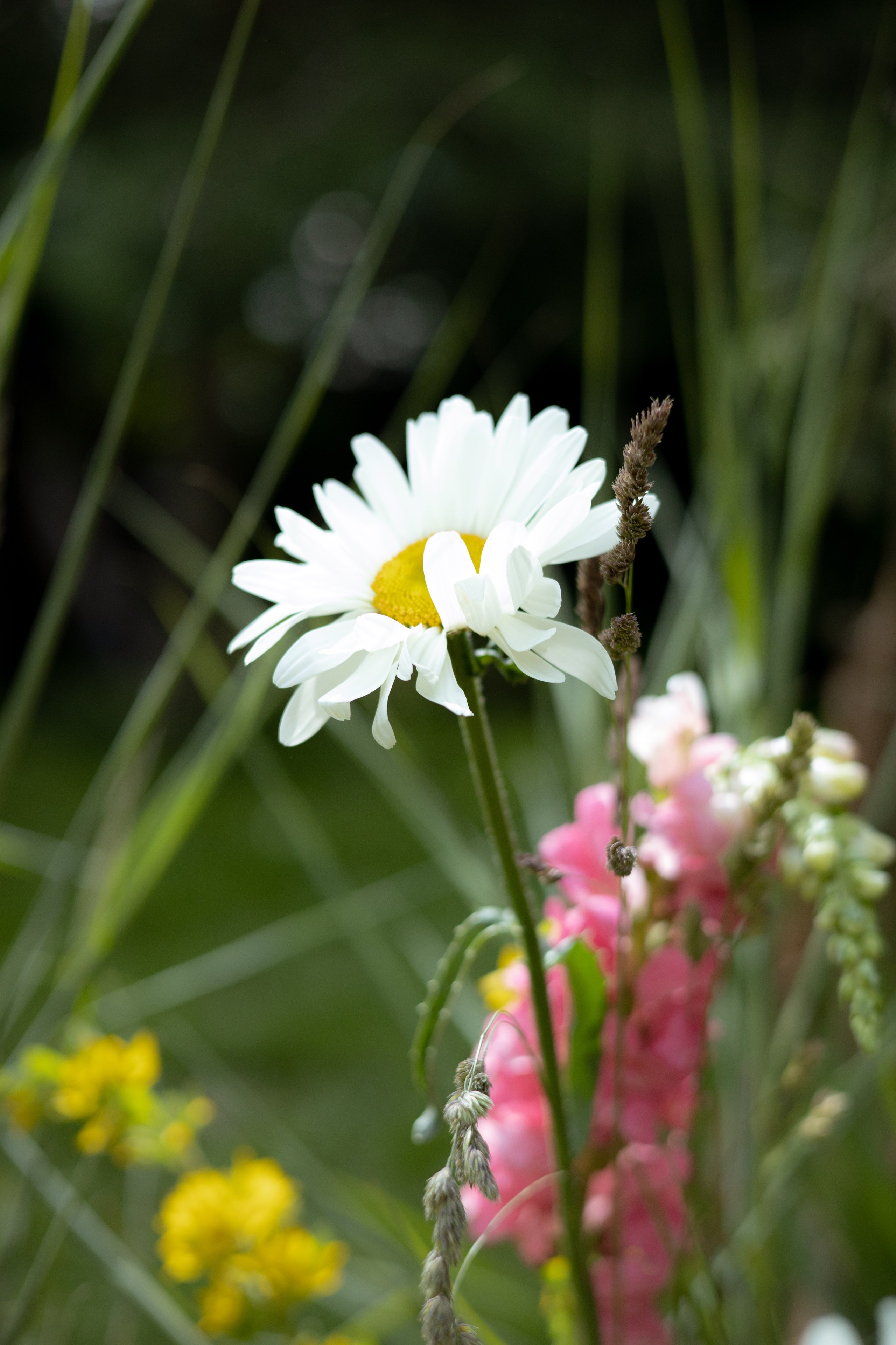 Павел & Полина. Оформление свадеб, декор свадеб Вера Маркова, Москва