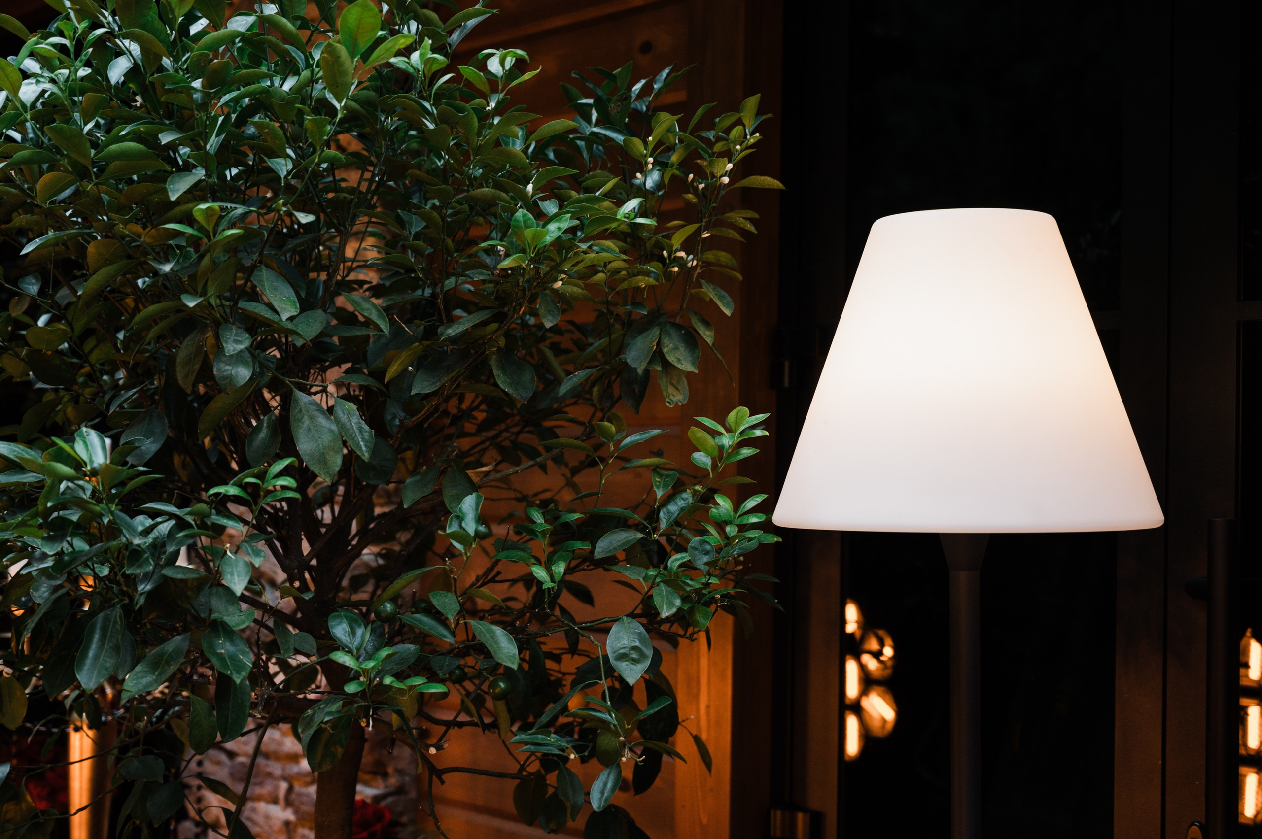 Репортажный фотограф на корпоратив и другие мероприятия. Свадебный и семейный фотограф в Краснодаре Марина Стёпа