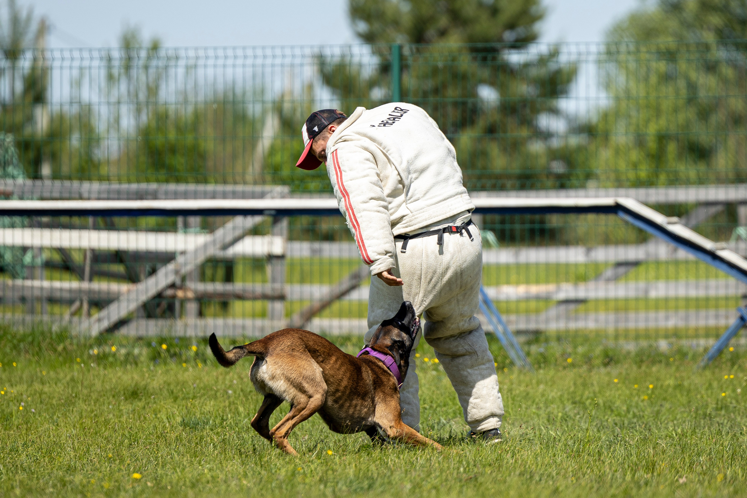 Испытания по мондьорингу в Нижнем Новгороде. Фотограф-анималист Анна Маринич