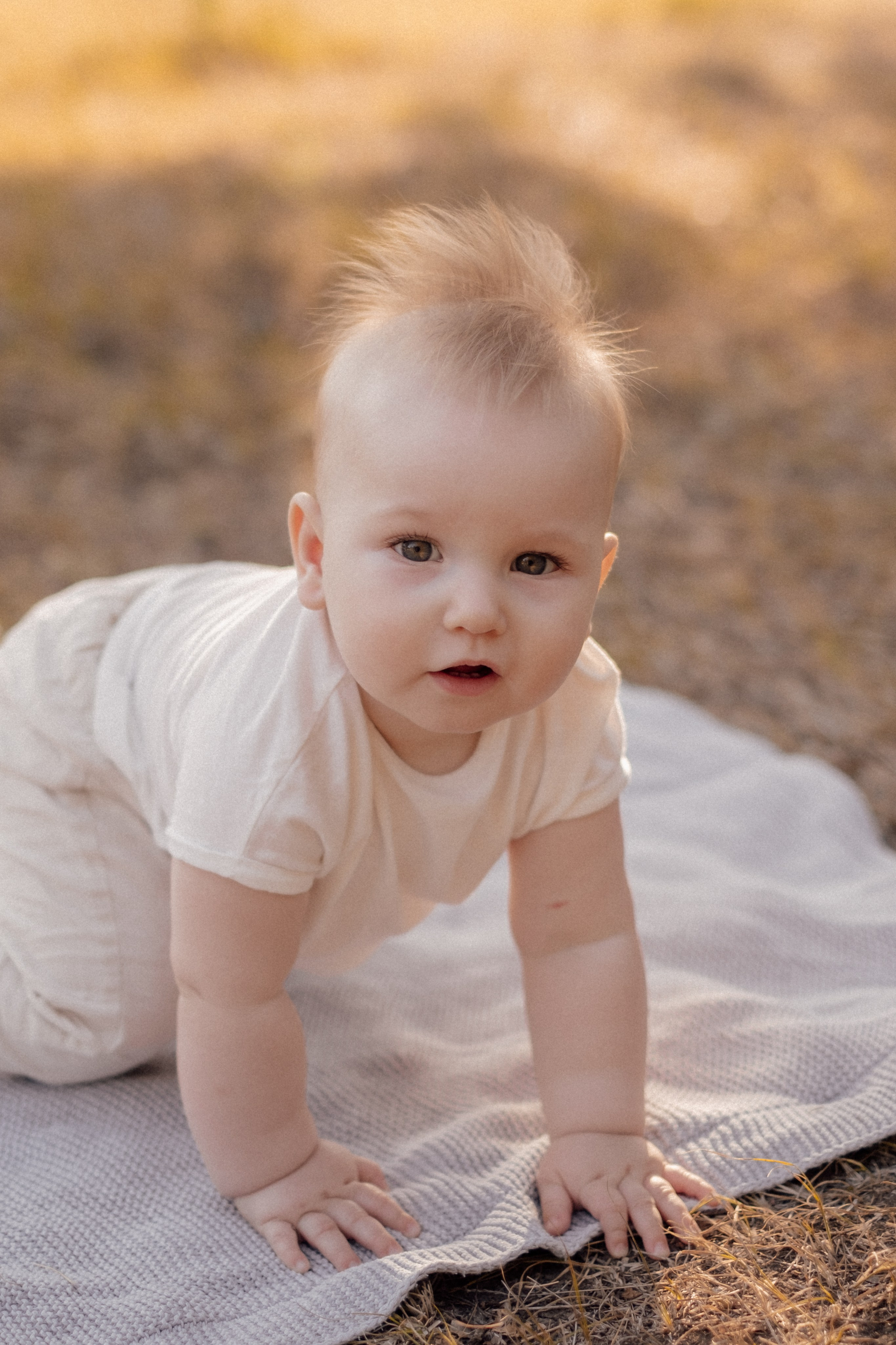 Филипп + Андрей + Лера. Свадебный и семейный фотограф г. Волгоград Биленко Ангелина