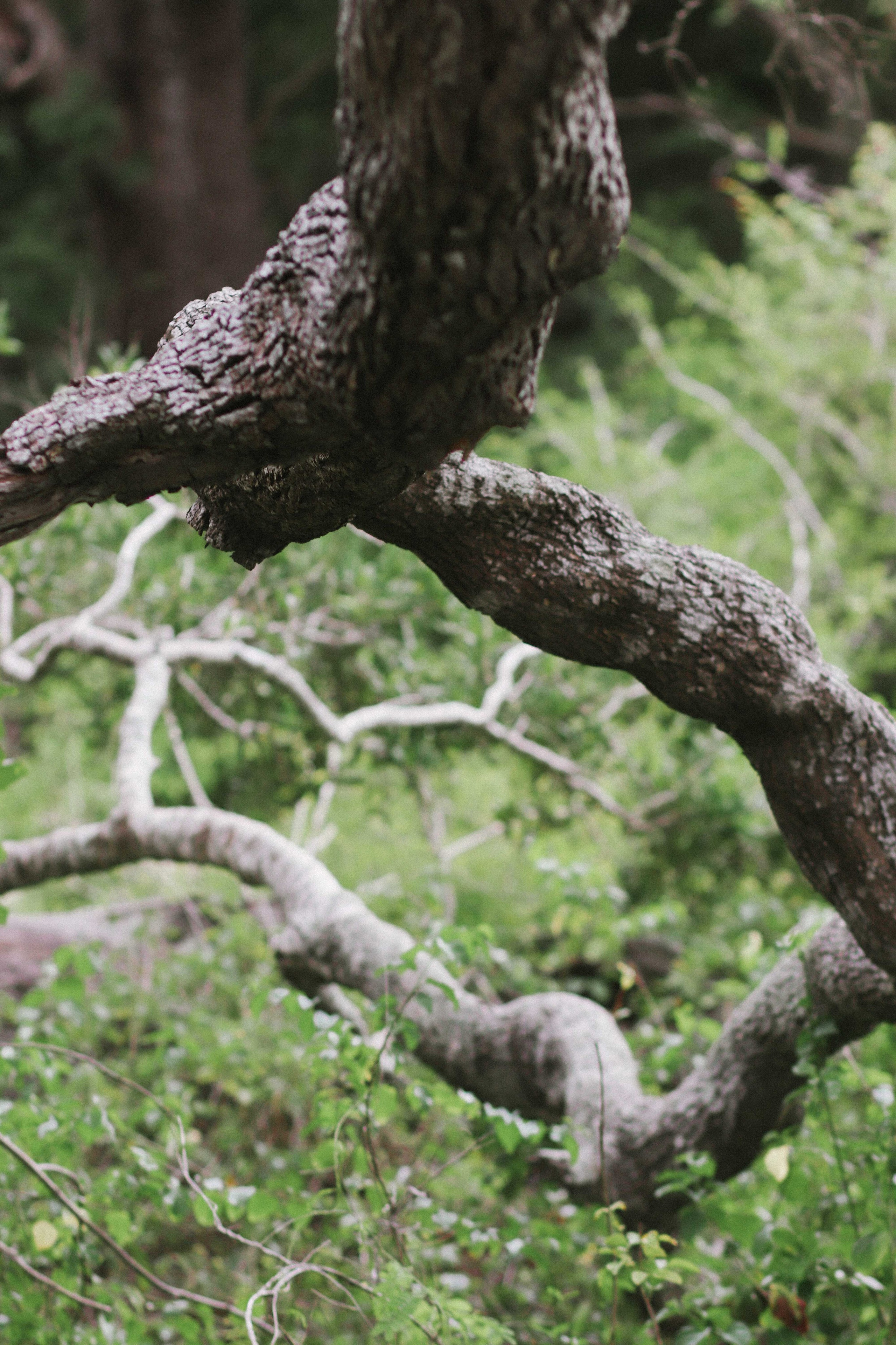 Коллекция украшения из натуральных камней. Фотограф на Шри-Ланке