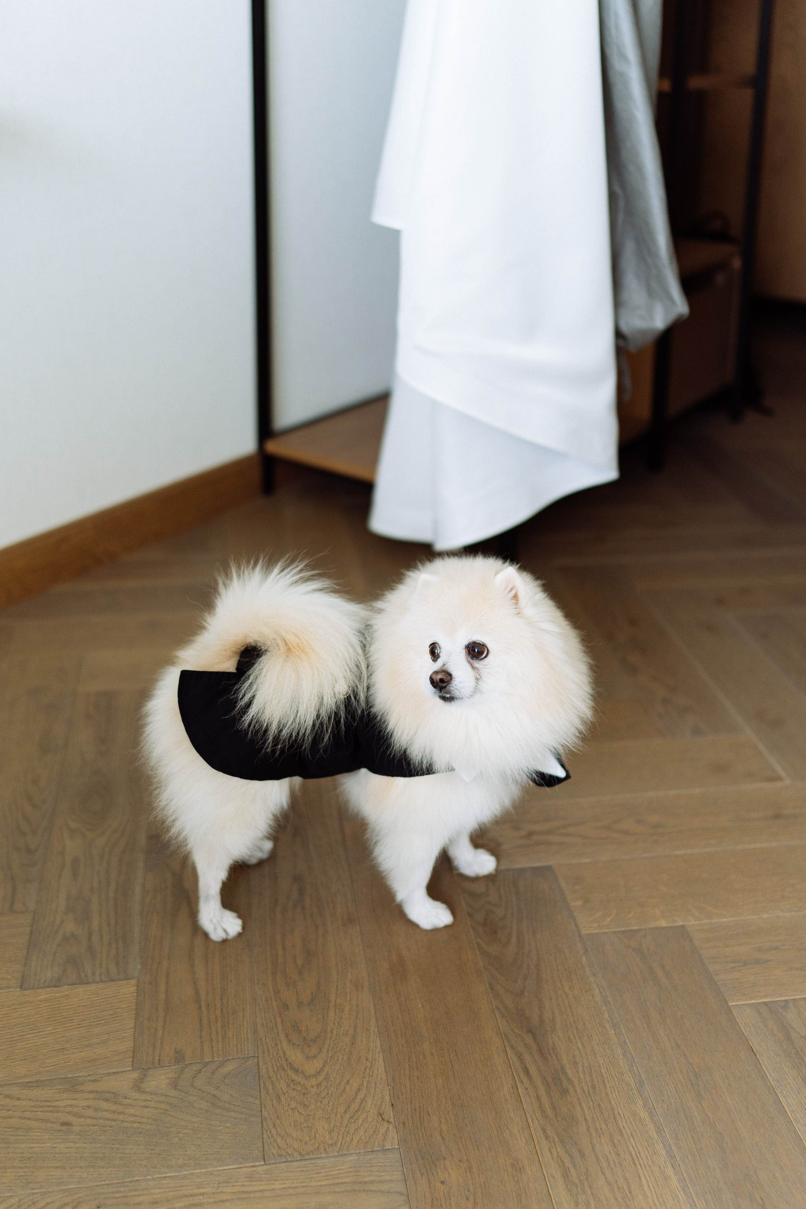 Свадьба Михаила и Екатерины