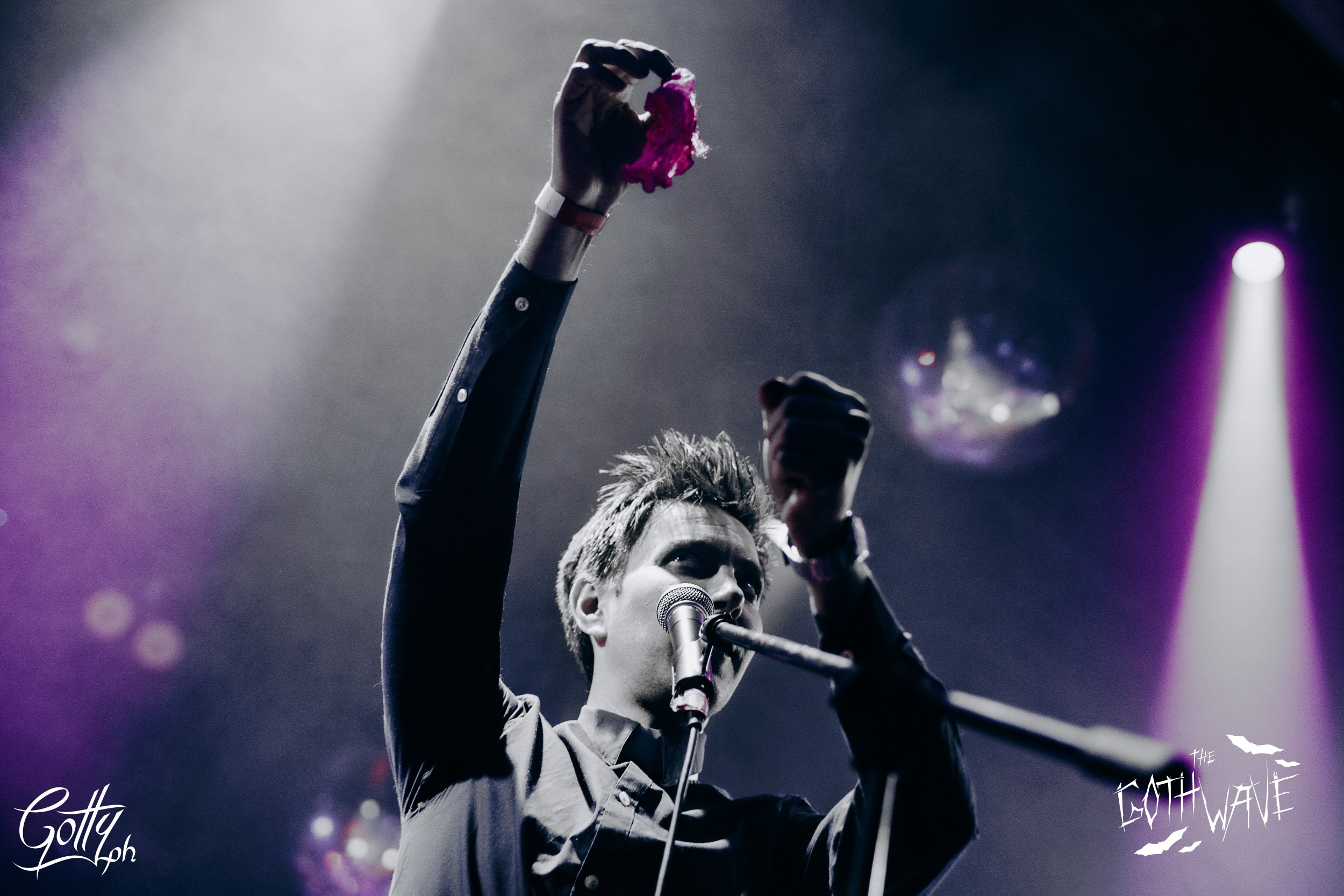 Halloween '24 Msk. Концертный и портретный фотограф Москва и Санкт-Петербург