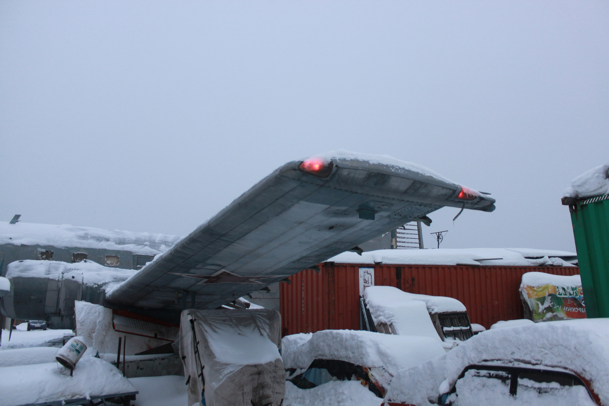 Ил-14Т «Голубая Мечта» работы в Тушино (2011 г.). Фотоальбом показывающий увлекательный мир авиации и мир медведей Андрея Иванова