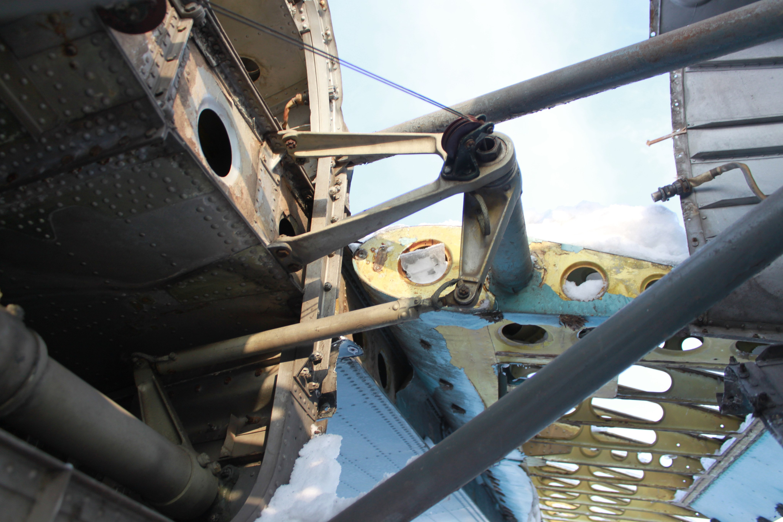 Ил-14Т «Голубая Мечта» работы в Тушино (2011 г.). Фотоальбом показывающий увлекательный мир авиации и мир медведей Андрея Иванова