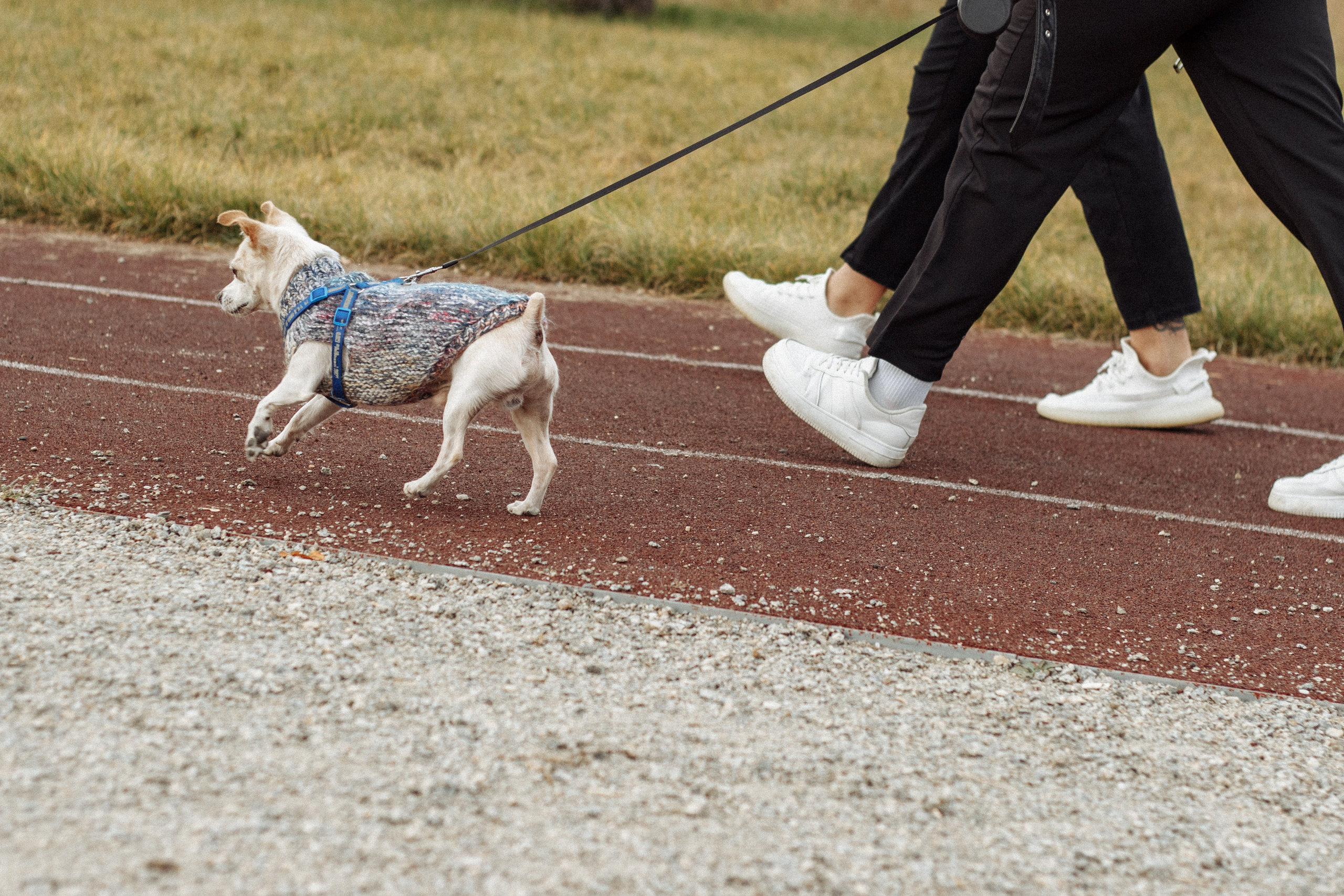 Дарья и Константин. Фотограф в Челябинске Березина Екатерина