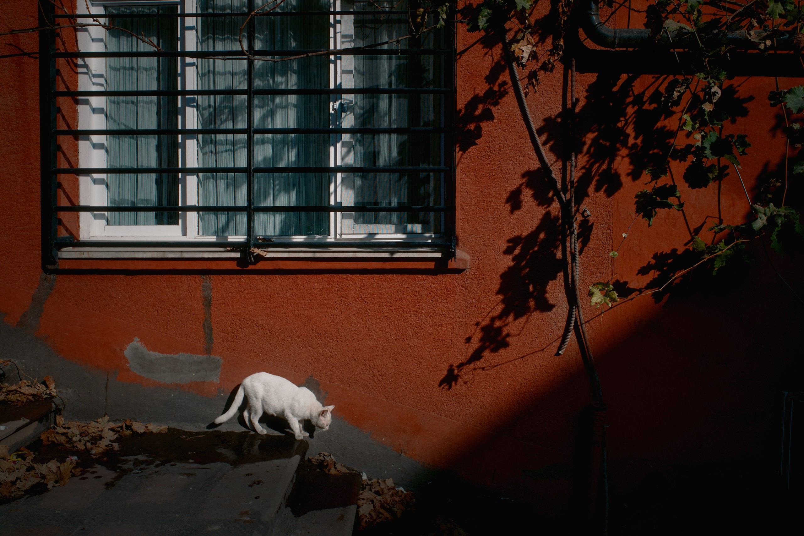 Улицы Турции ч.2. Фотограф документалист Виктор Гаршнеп