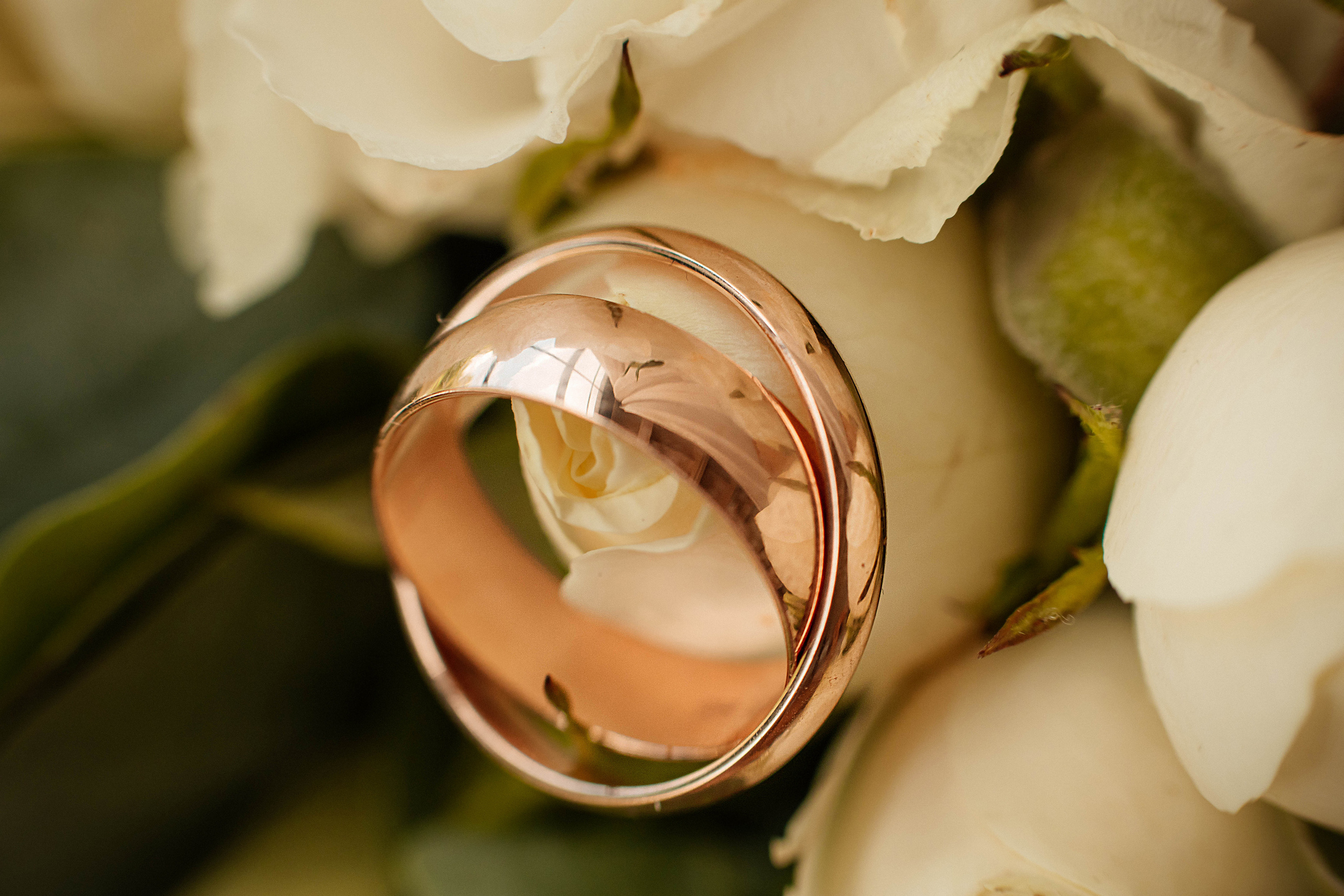 Victoria&Evgeniy. Фотостудия SVET в Курске - Фотограф Светлана Кобелева