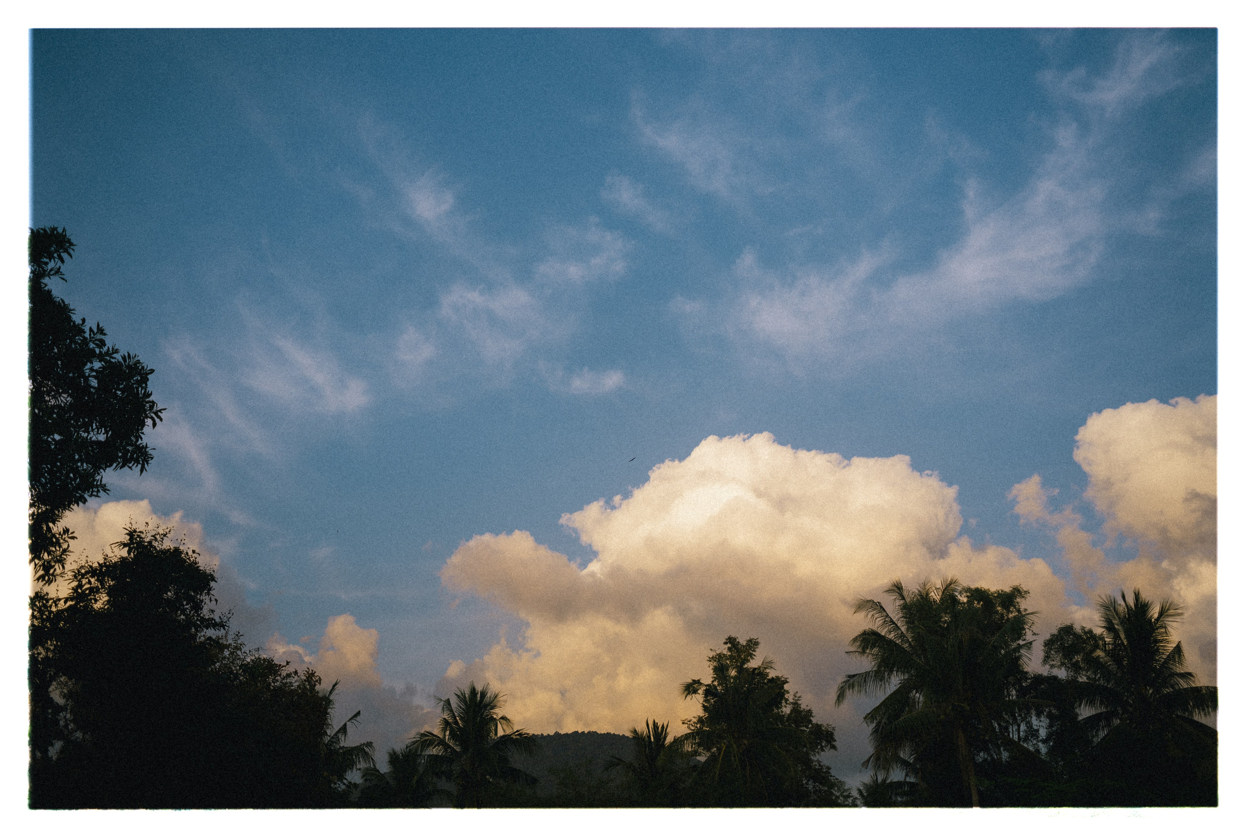 PAHNGAN 26. Свадебный и семейный фотограф Никита Корохов