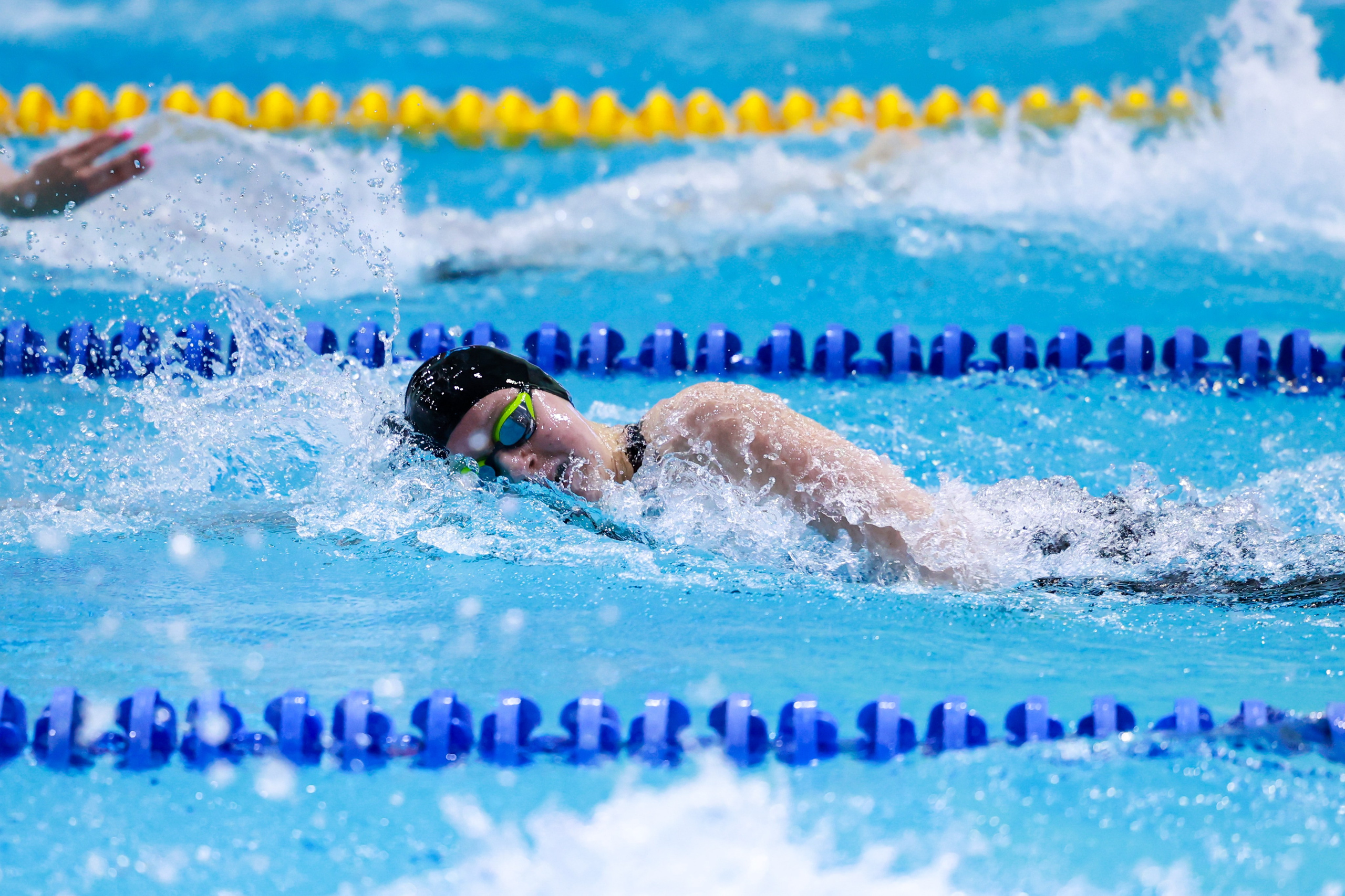 Чемпионат России по плаванию 25 м 21-26.11.2024. Спортивный и репортажный фотограф Антон Тереханов