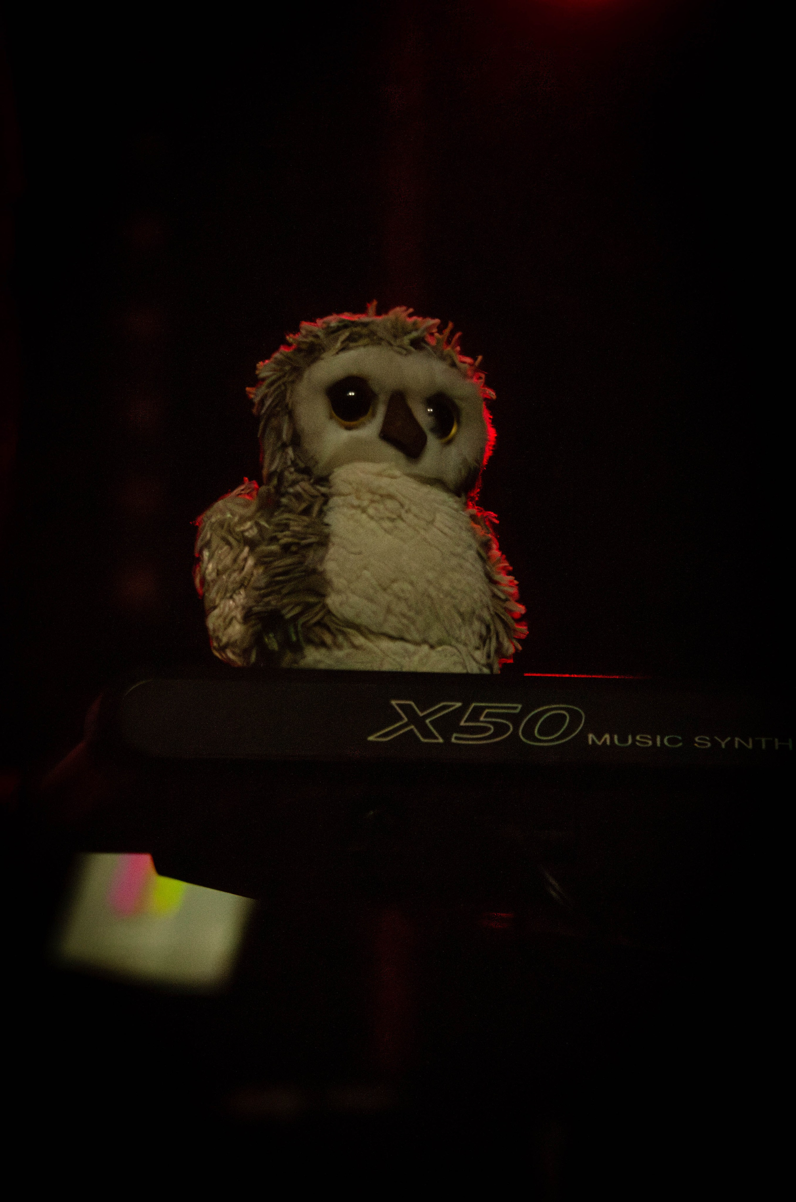 CosmoCats (8 июня 2024 года, Нижний Новгород, клуб Alcatraz). Фотограф Светлана Блинова, Москва и Московская область