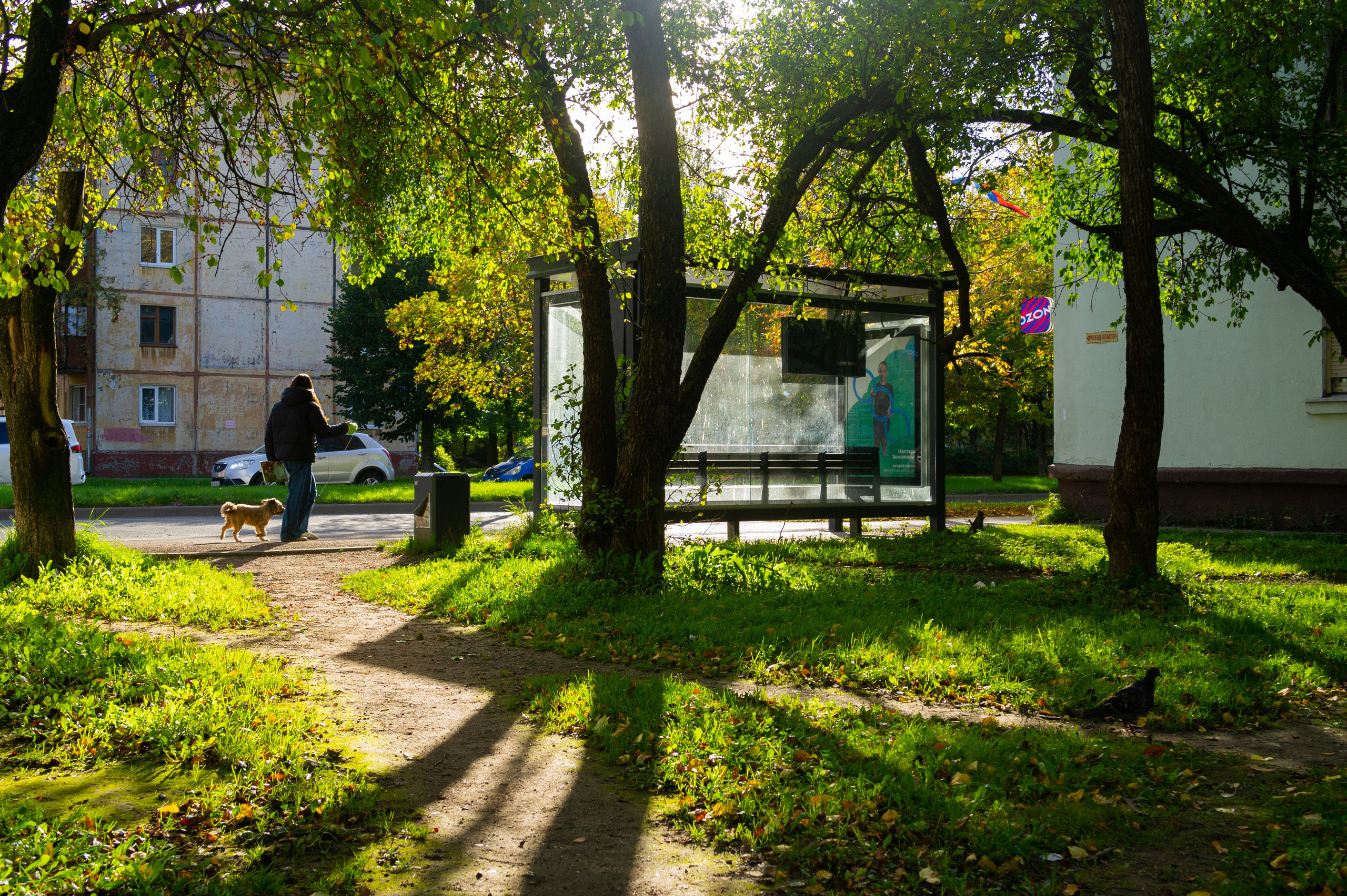 Сентябрь 2025. Den Mirov — Фотограф, Музыкант