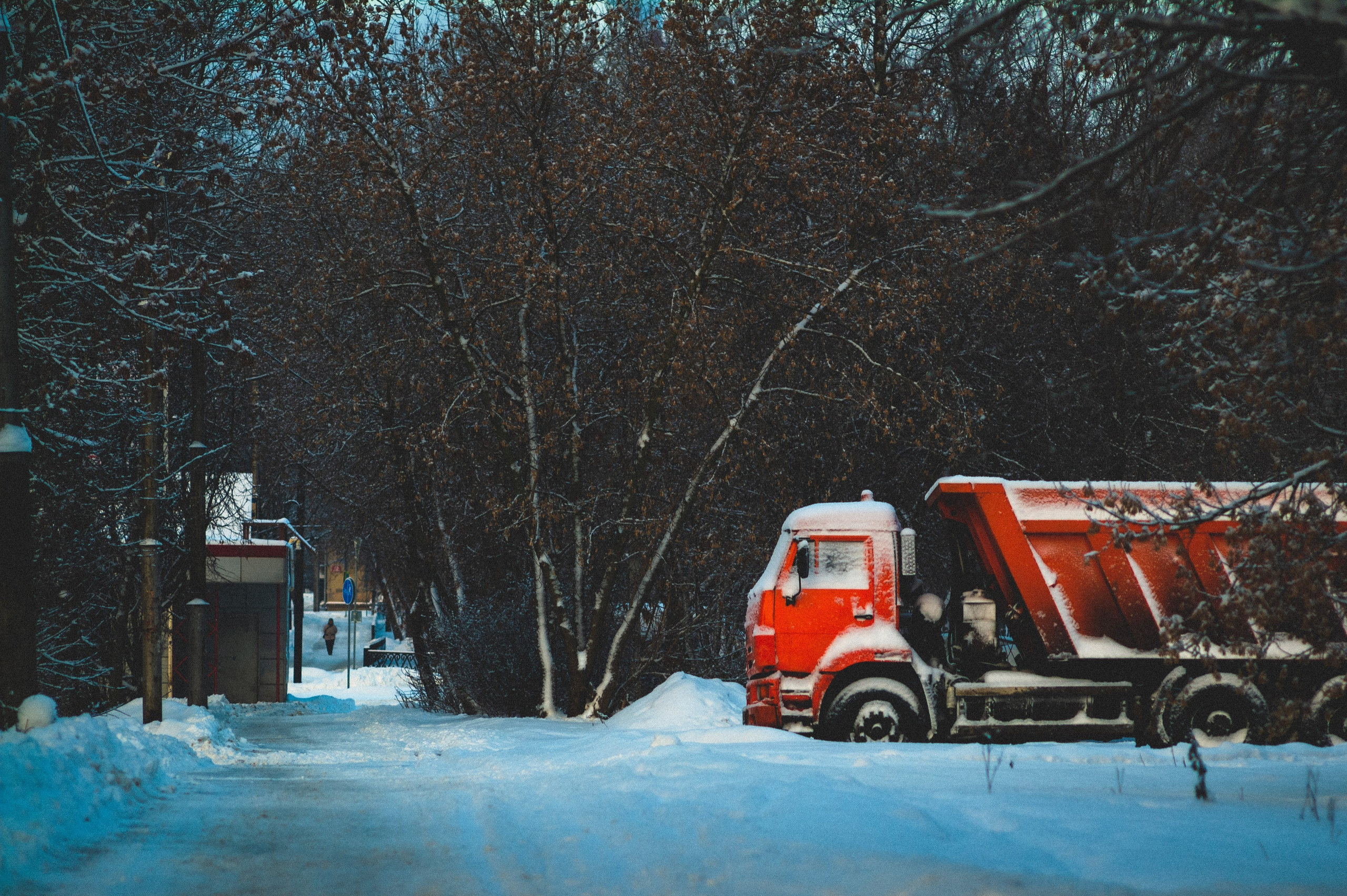 Cold. Soft. Den Mirov — Photographer, Musician