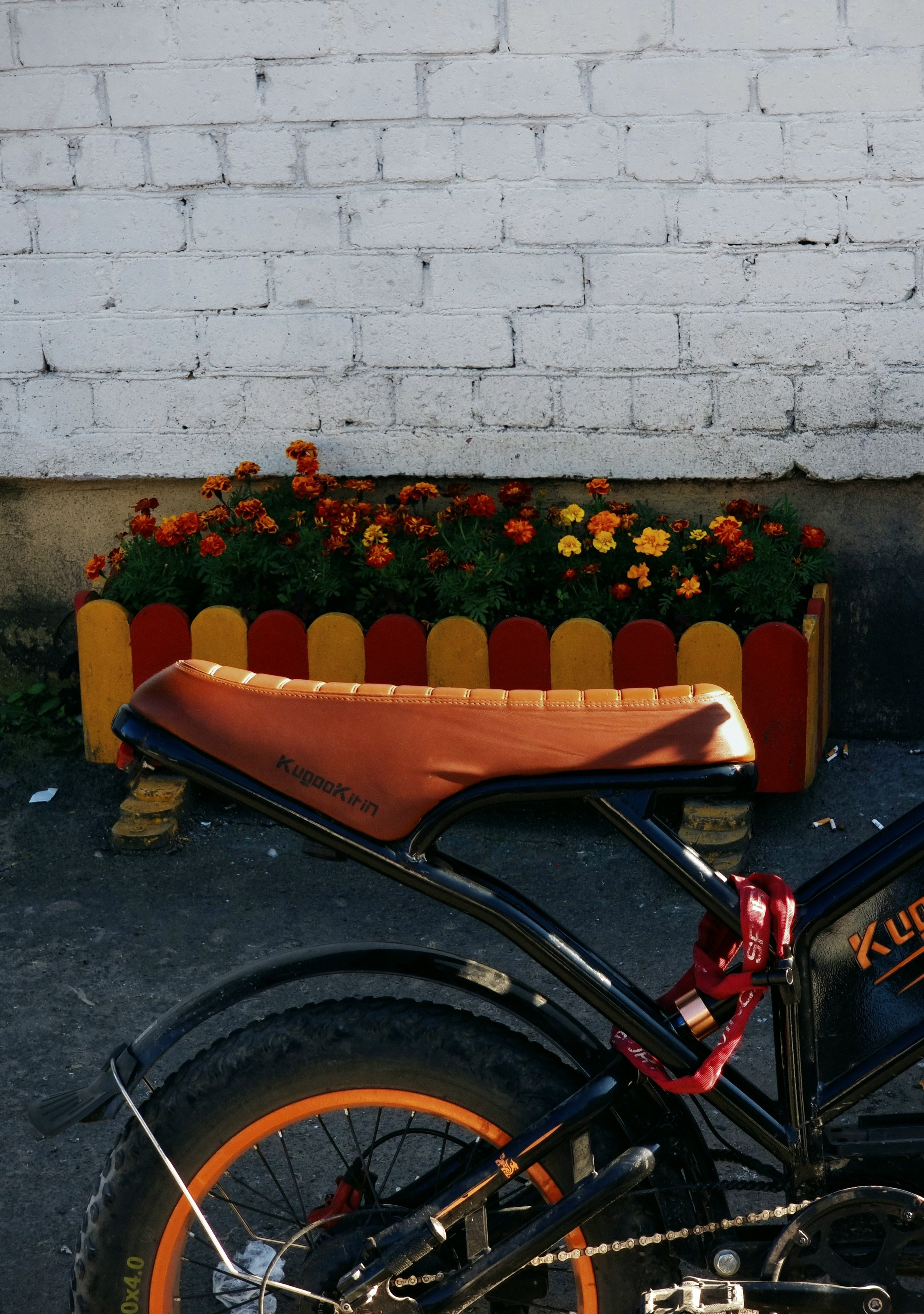 Июль 2025. Den Mirov — Фотограф, Музыкант