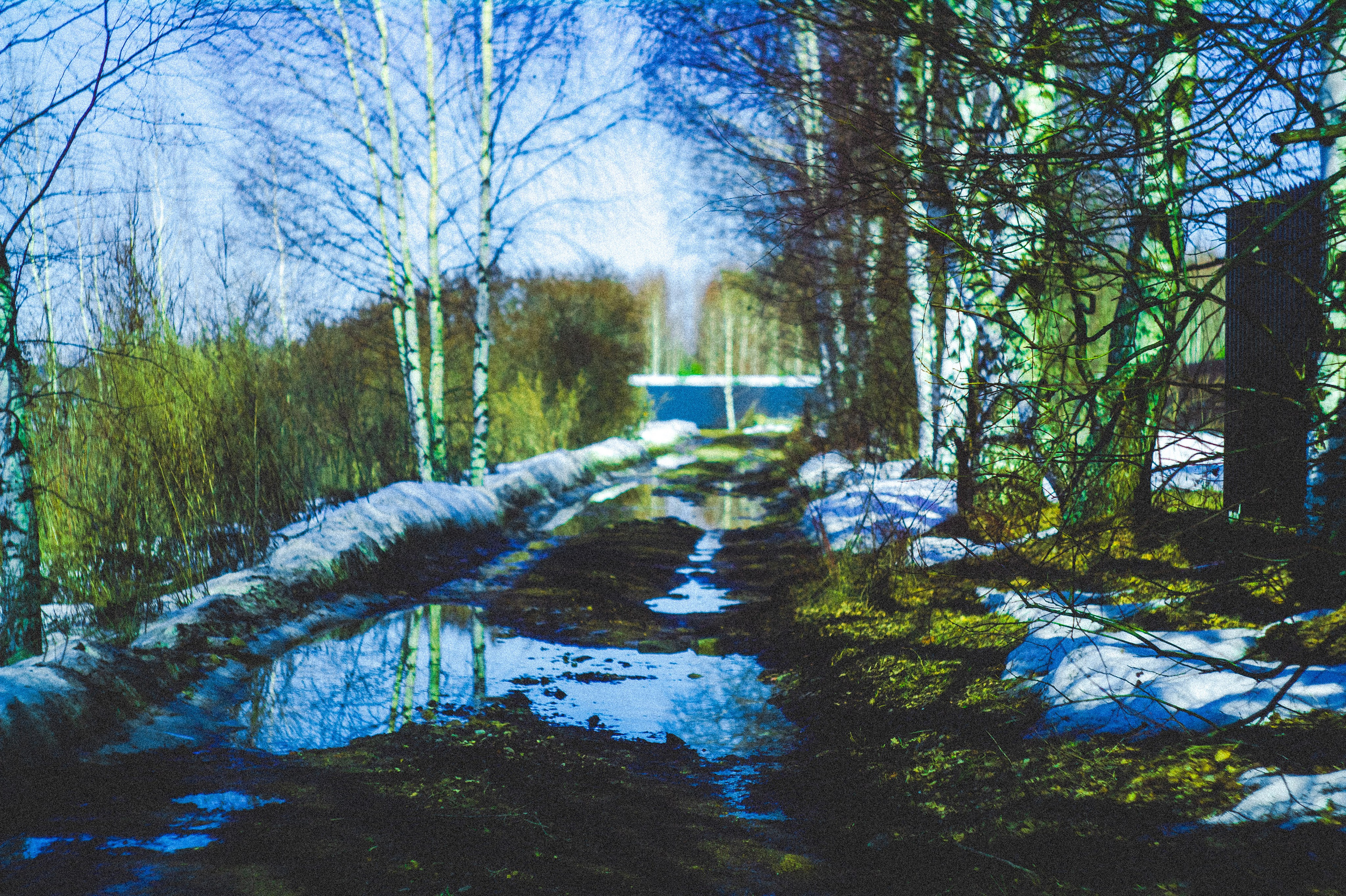 The Road to Truth. Den Mirov — Photographer, Musician