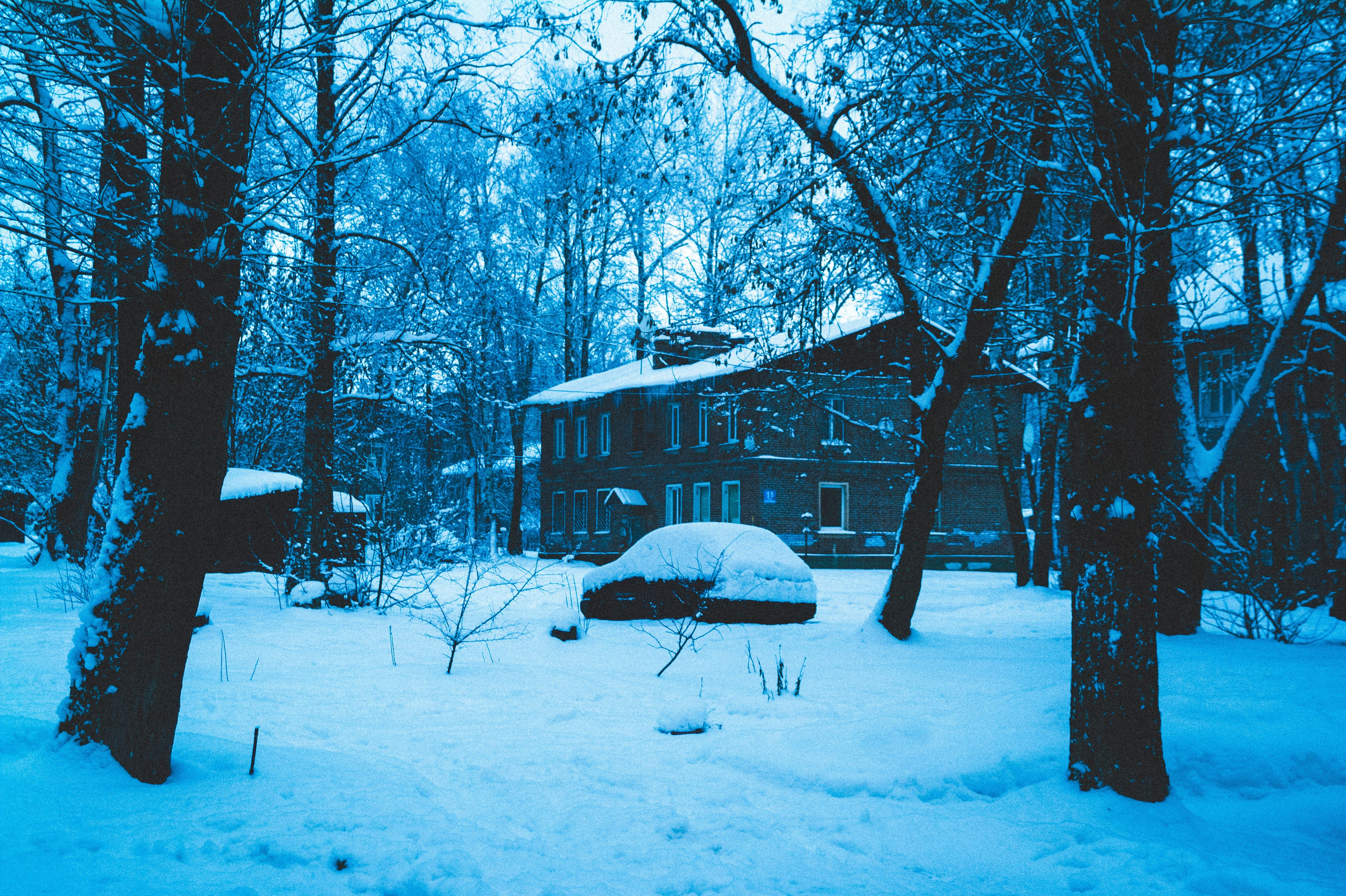 24.35. Den Mirov — Photographer, Musician