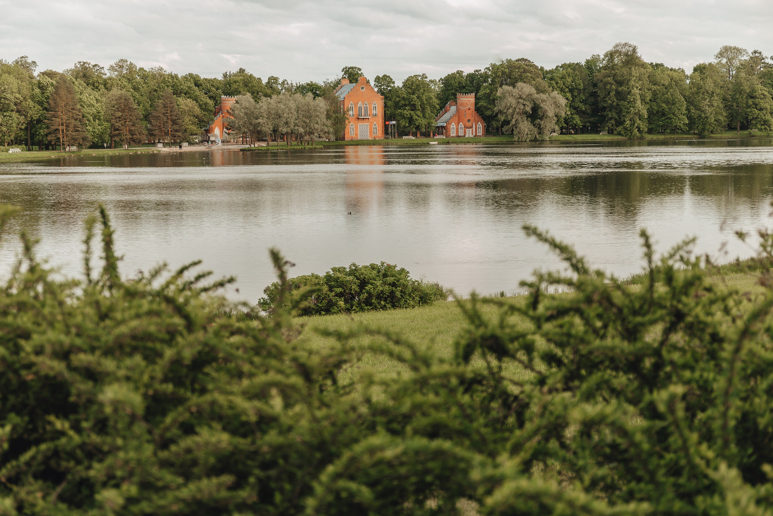 Прогулка по Царскому Селу. Свадебный и семейный фотограф Пушкин Царское Село СПБ Питер Санкт-Петербург и Рязань Ольга Козлова