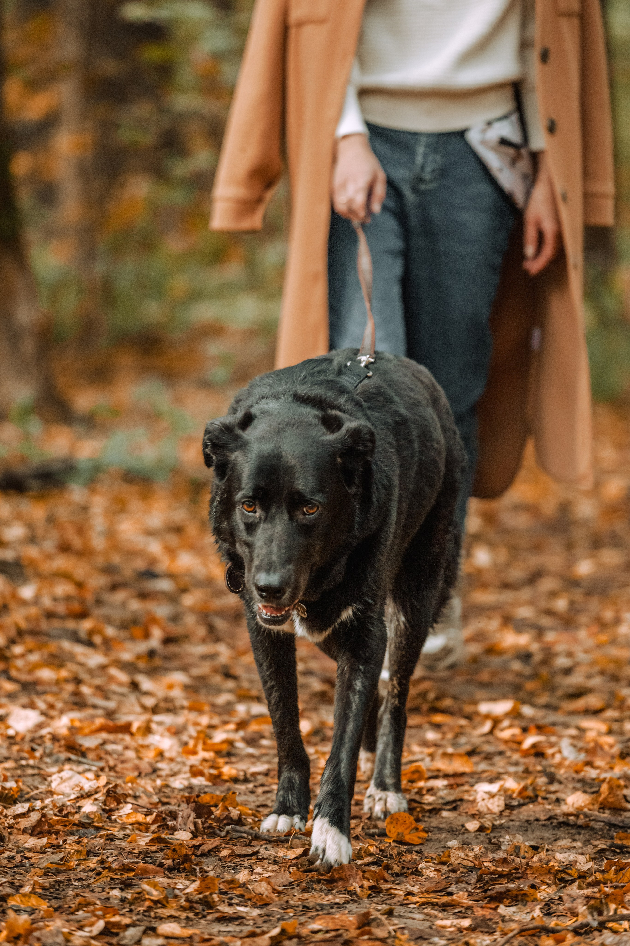 Юля и Фортуна. Фотограф-анималист Татьяна Степанова