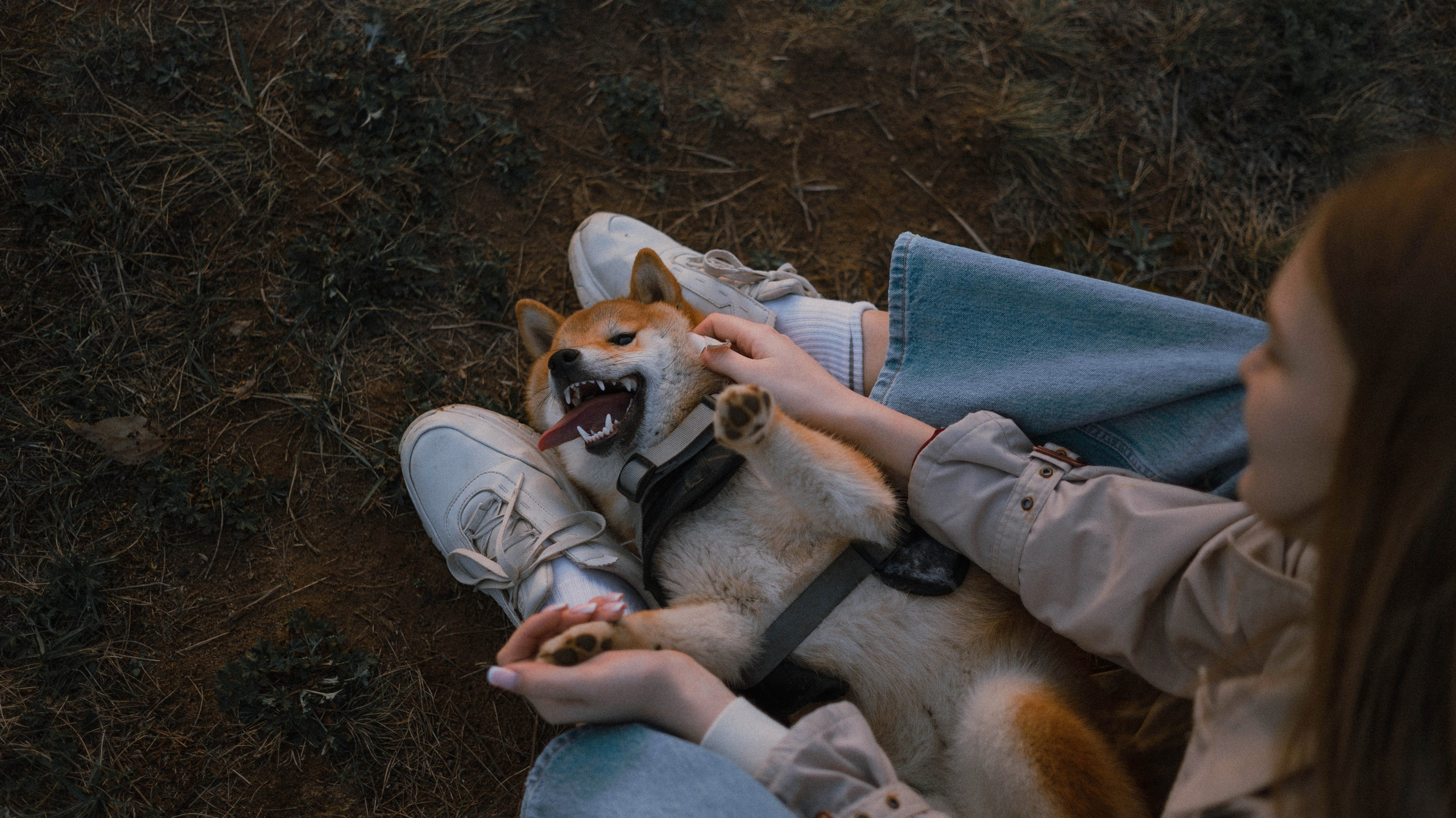 Аня и Шани. Фотограф-анималист Богданова Полина