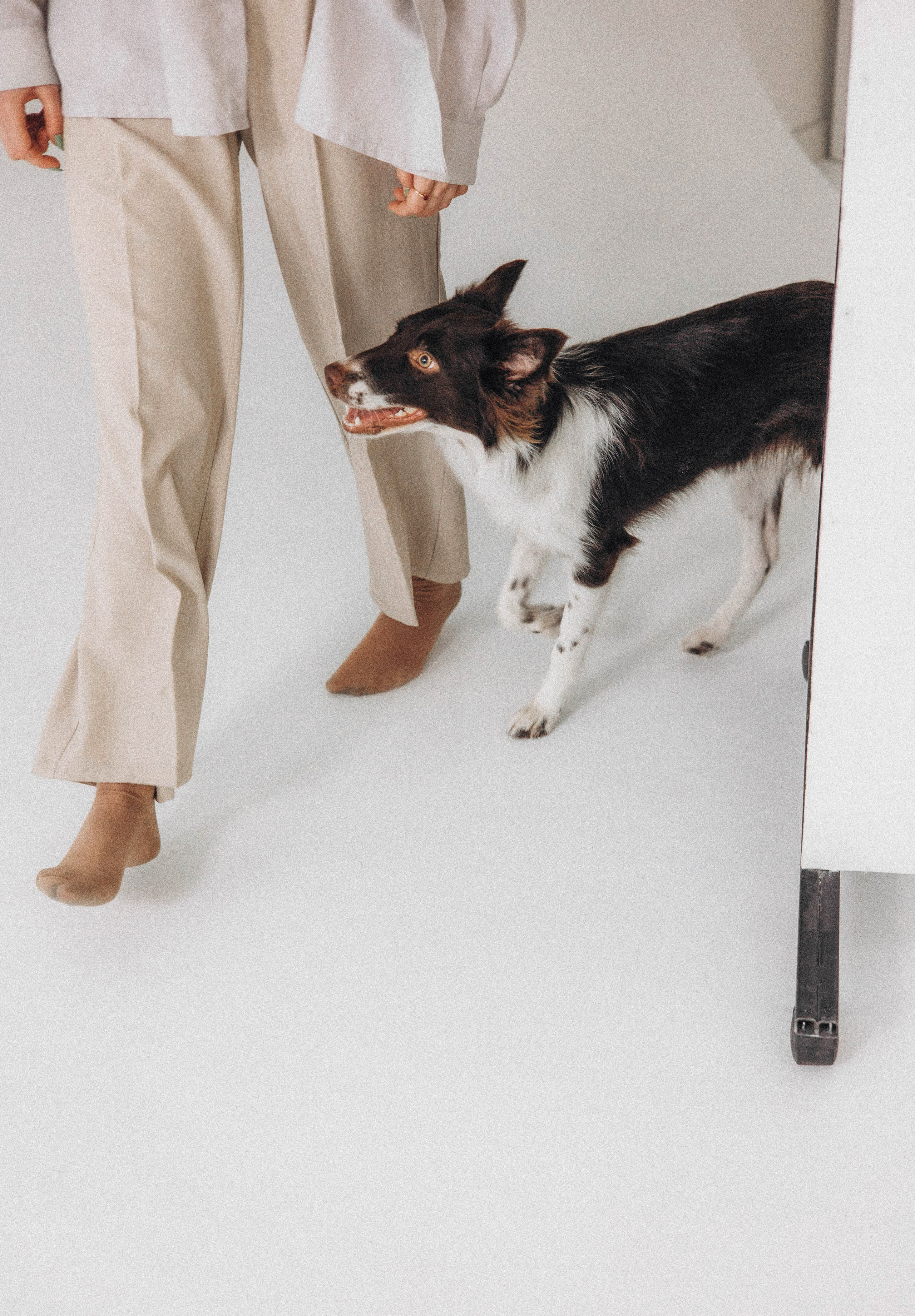 Алена и Гвендолин. Фотограф-анималист Богданова Полина
