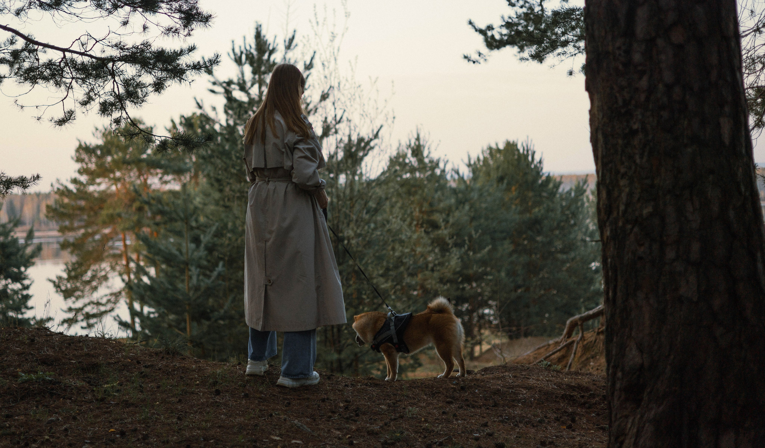 Аня и Шани. Фотограф-анималист Богданова Полина