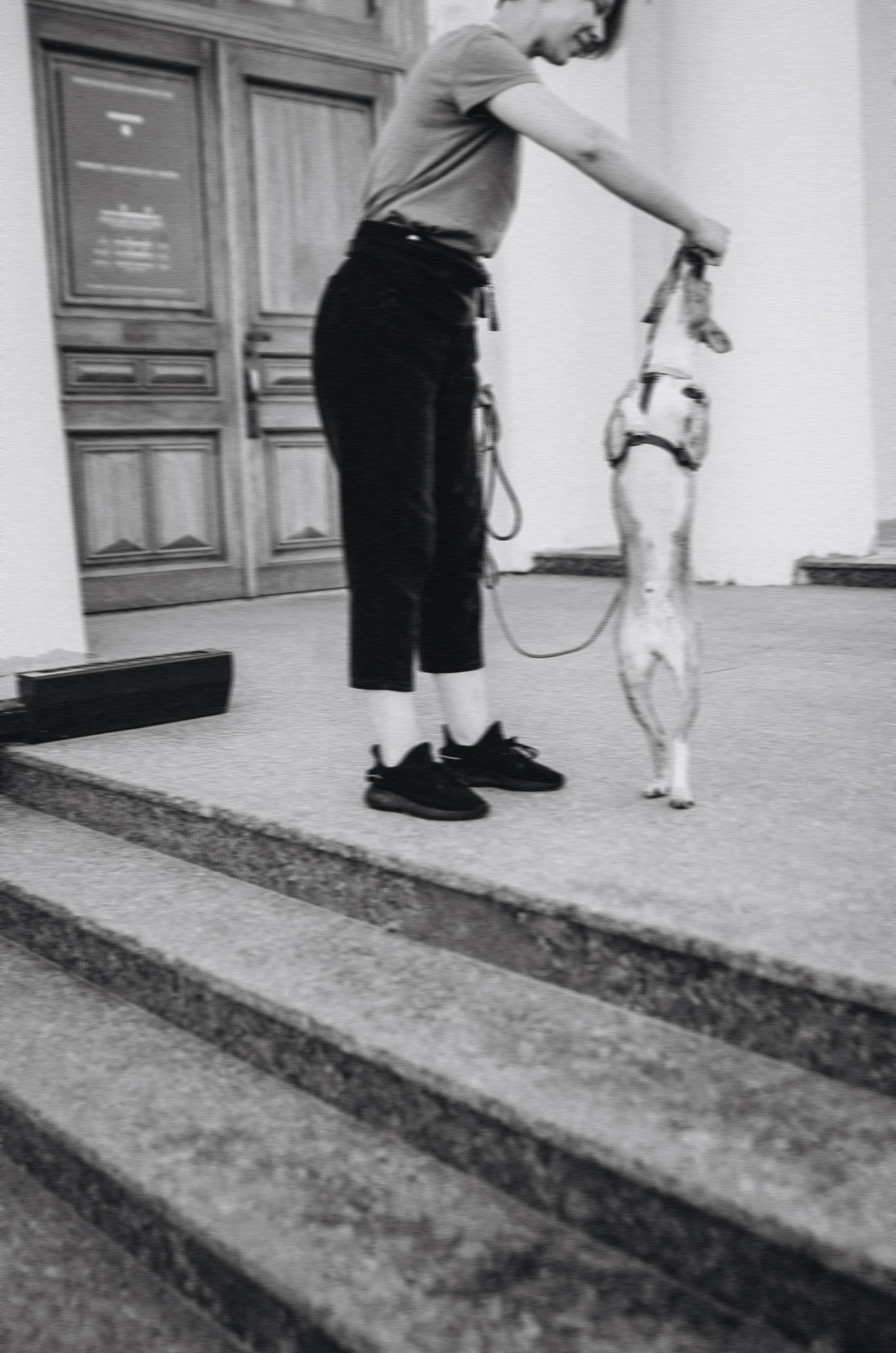 Снежана и Мэнни. Фотограф-анималист Богданова Полина