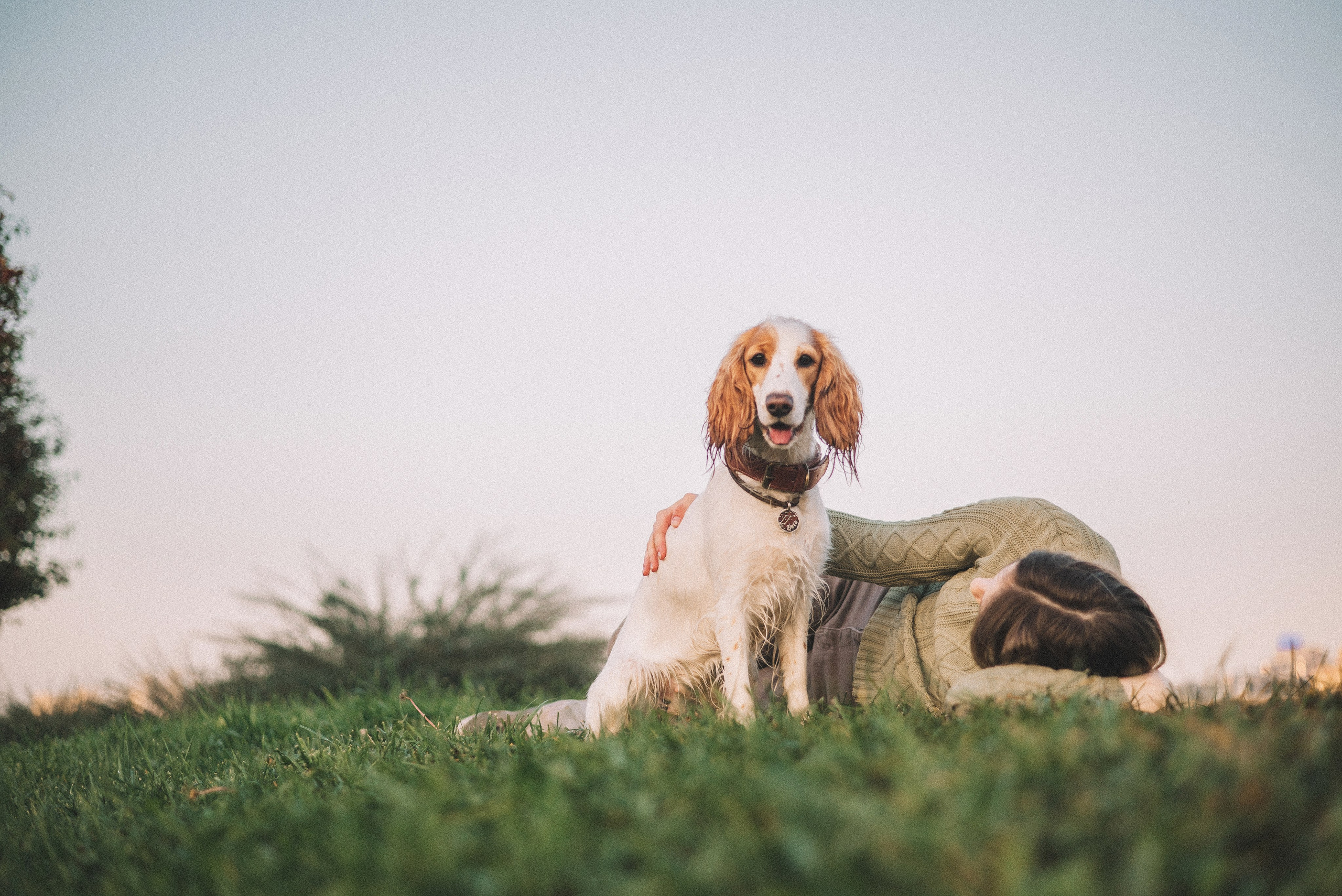 Маша и Вега. Фотограф-анималист Богданова Полина