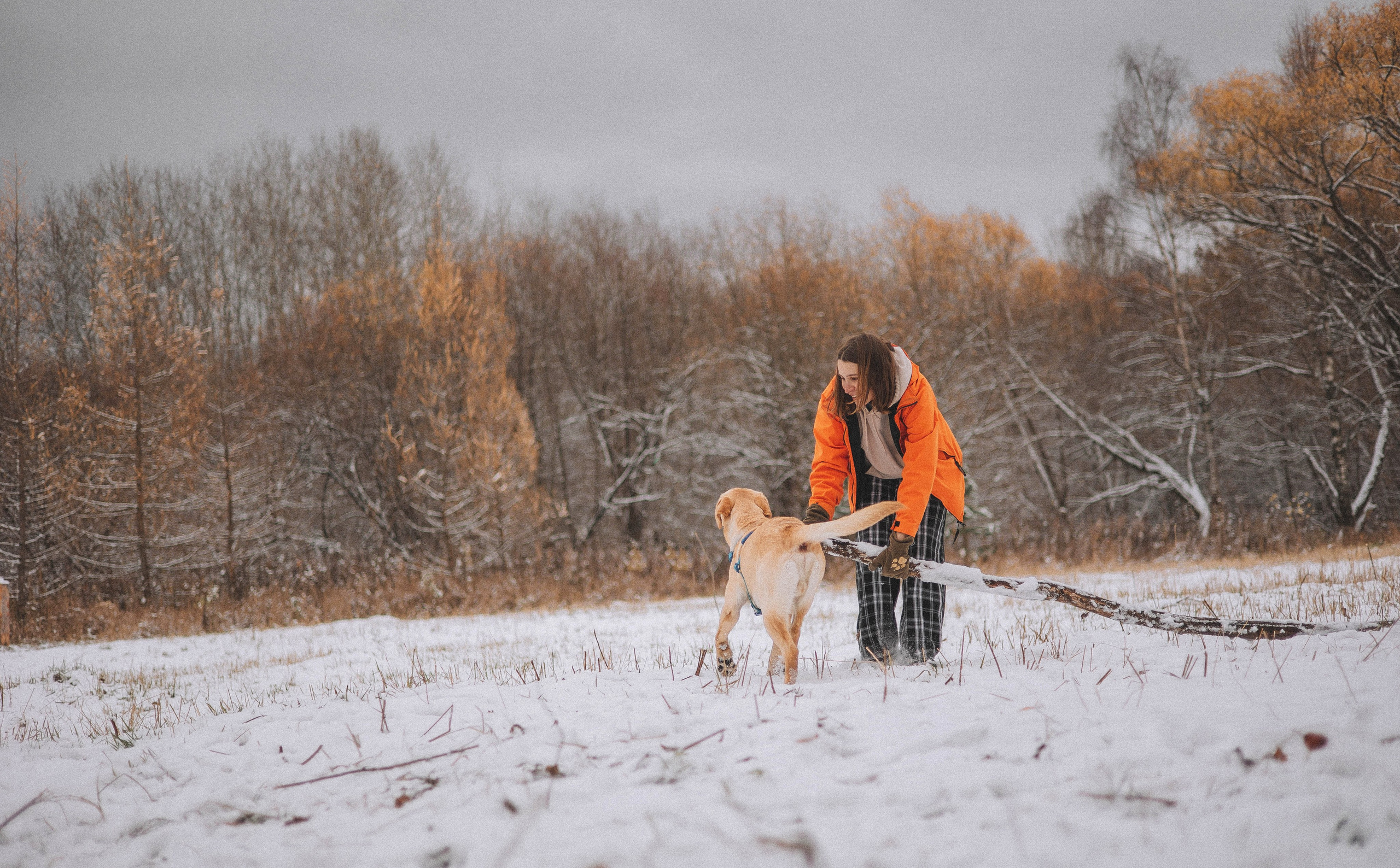Маргарита и Варди. Фотограф-анималист Богданова Полина