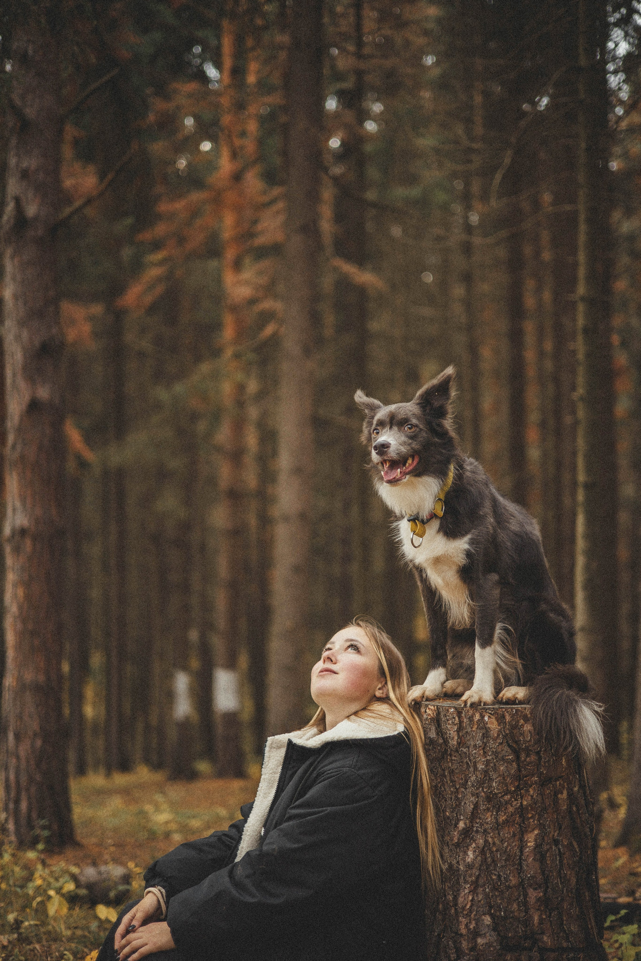 Даша и Дже. Фотограф-анималист Богданова Полина