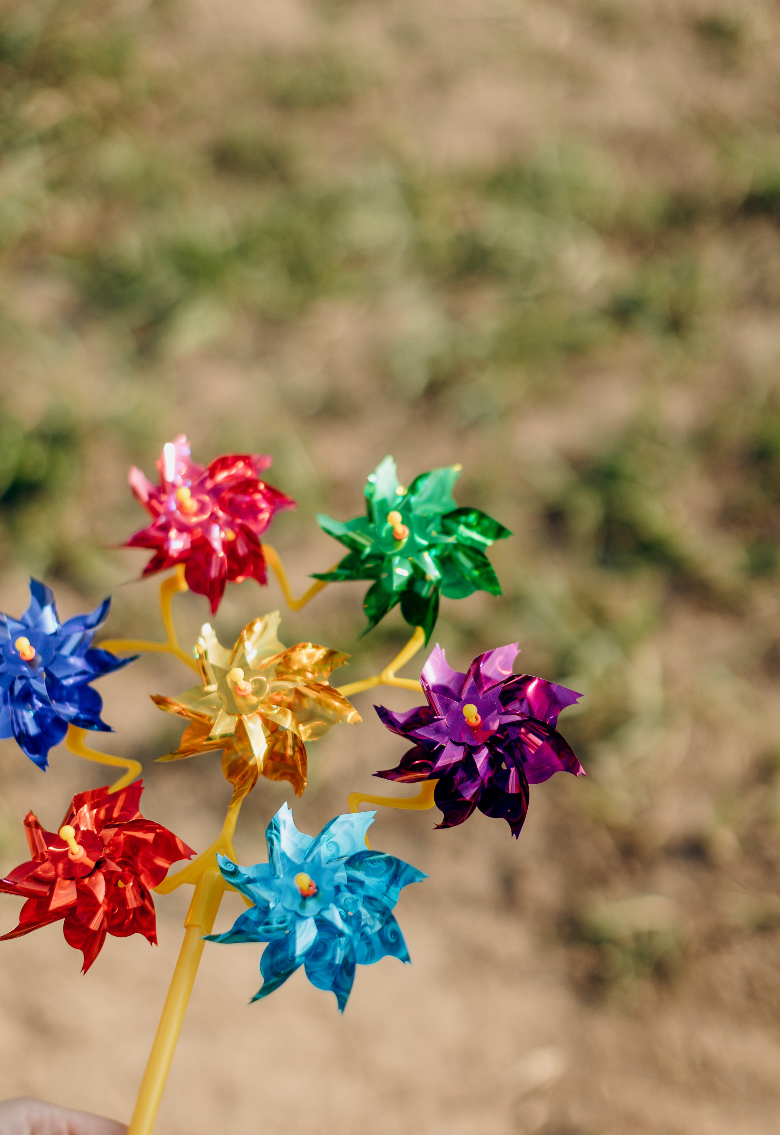 Ты моя нежность. Свадебный и семейный фотограф в Москве