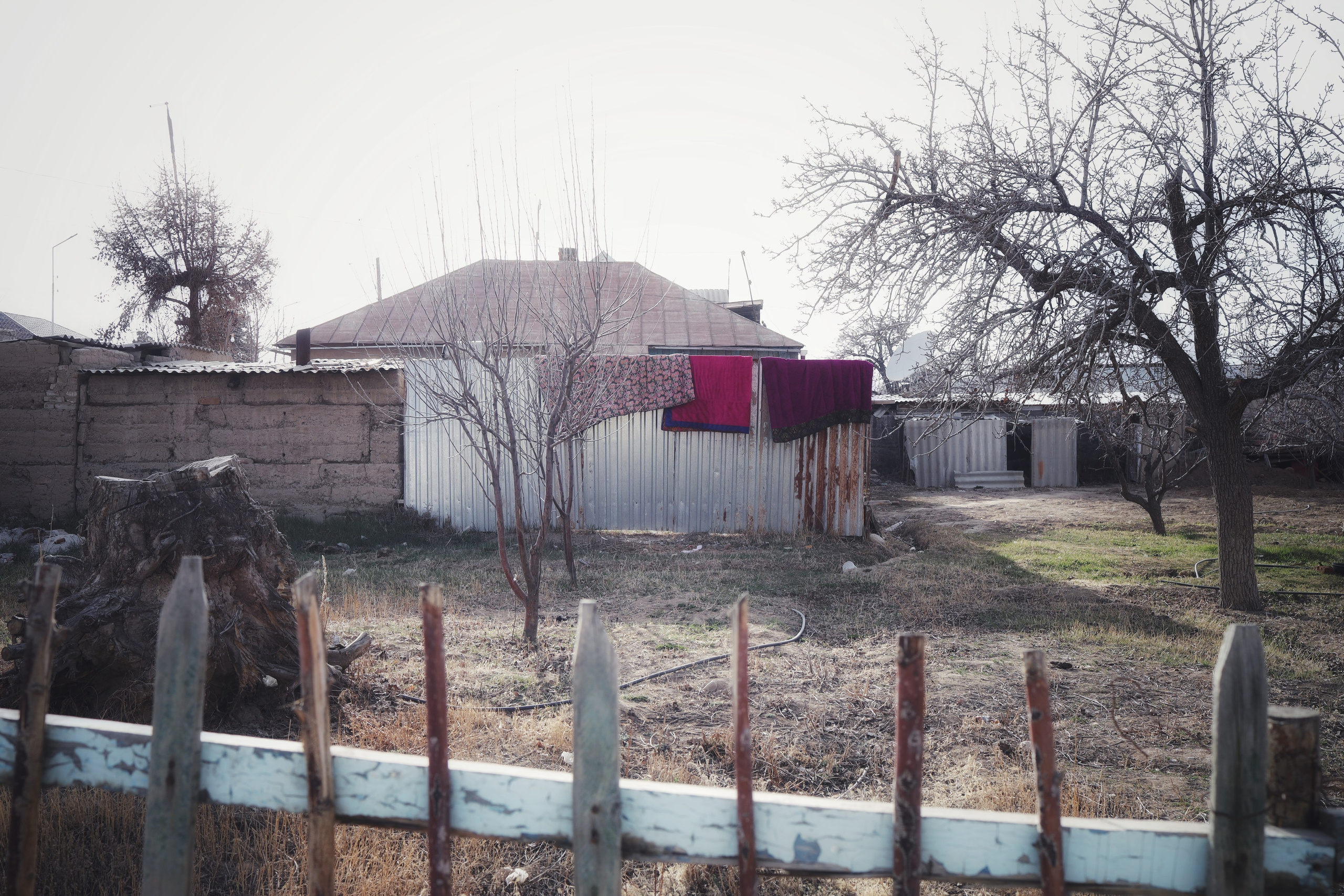 Sense of Bokonbayevo village / Kyrgyzstan 2024. POLINA MÔMOT