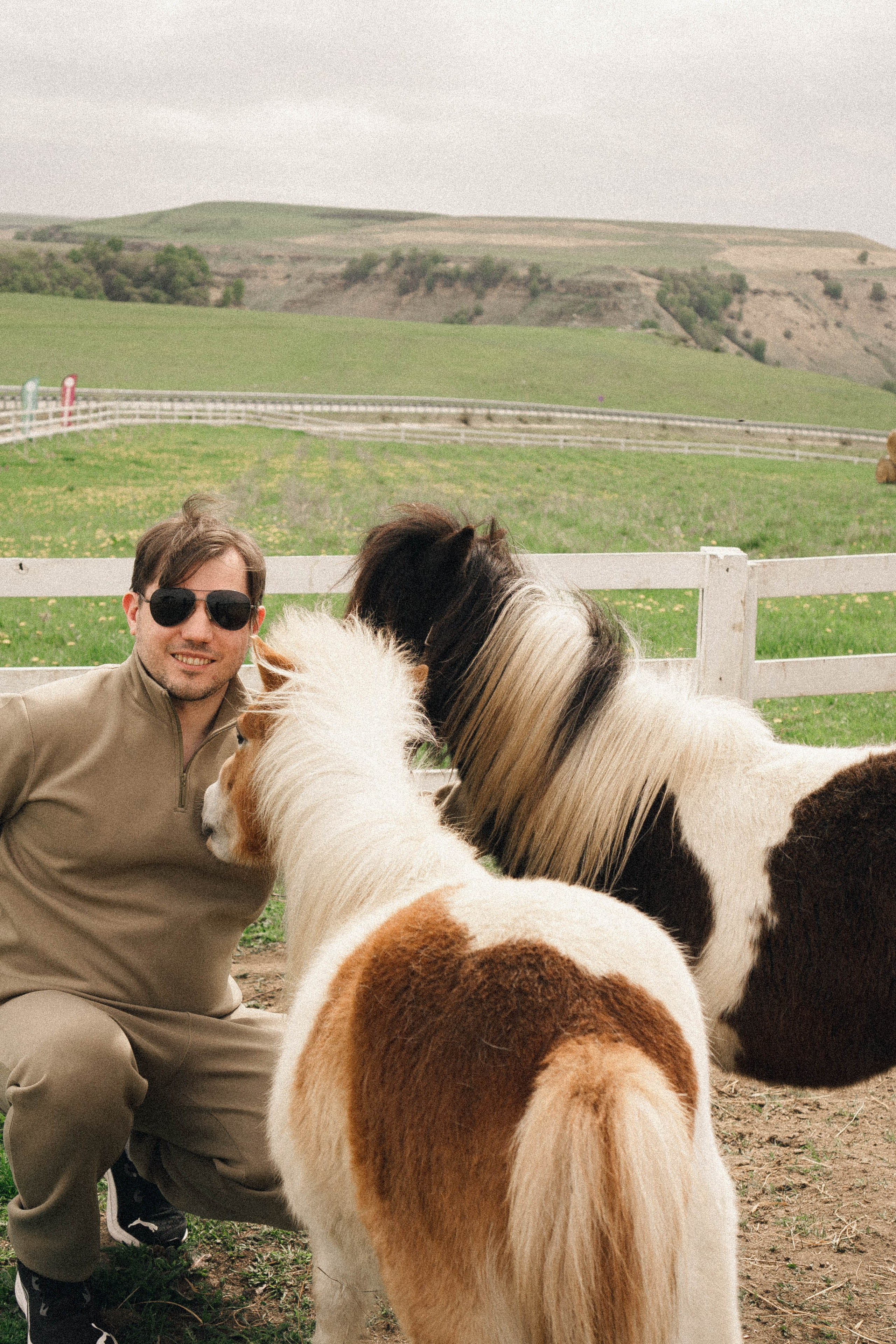 Ферма Альпак. Профессиональный фотограф, Санкт-Петербург — Виктория Богомолова