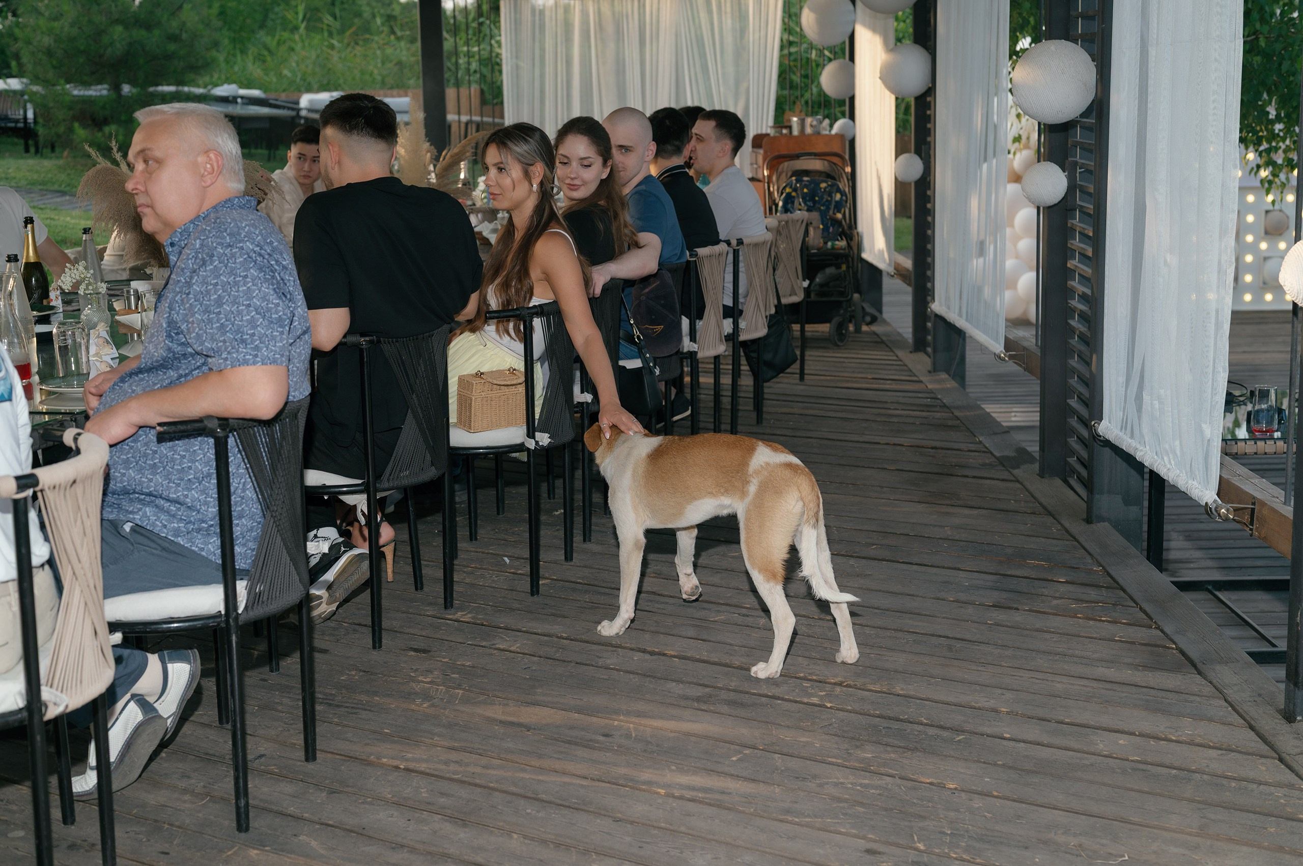 Gender reveal party (12.06.25). Фотограф в Алматы — Алексей Коньков | Репортаж, свадьбы, портреты