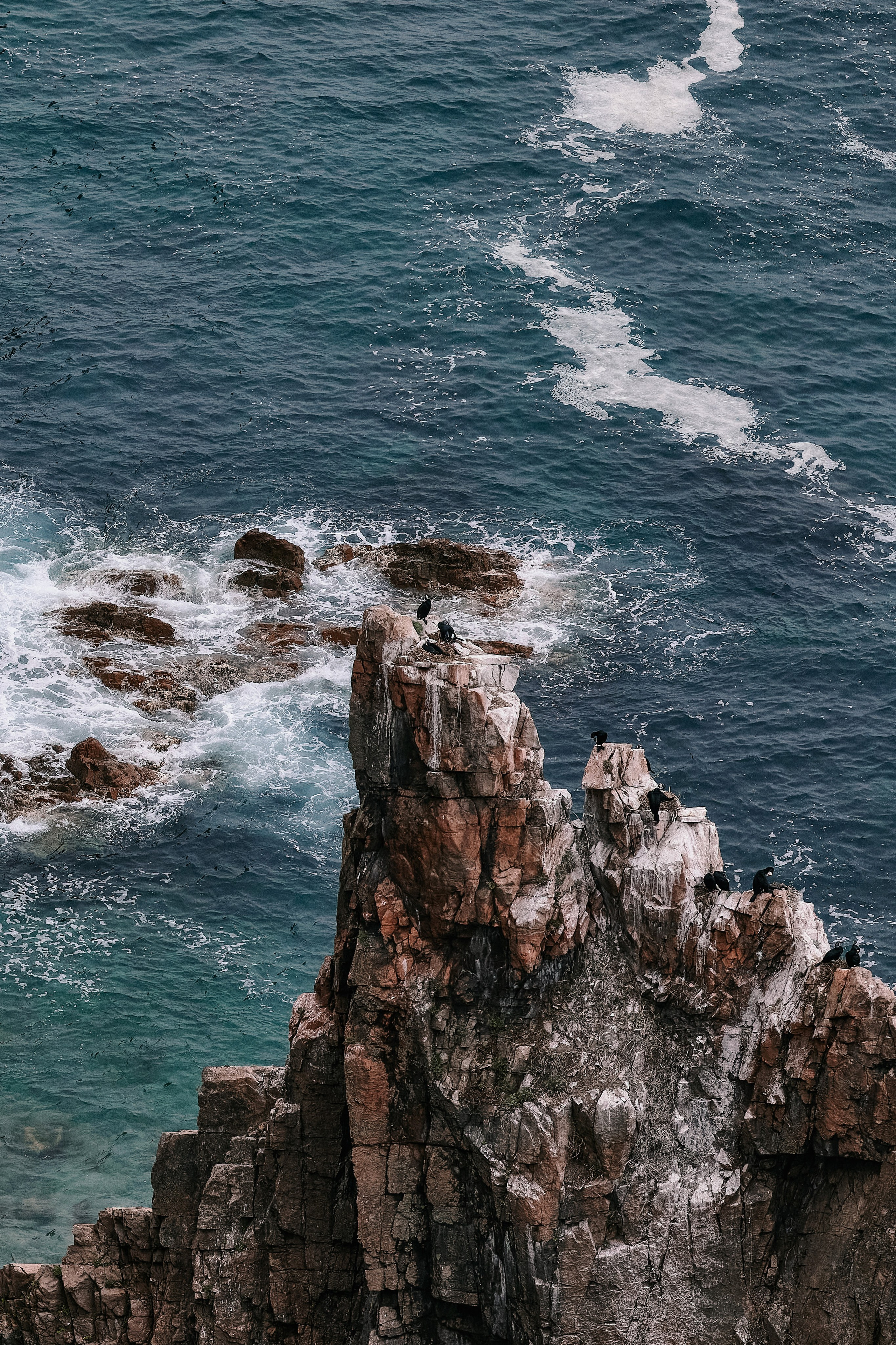 Красивые морские пейзажи во Владивостоке - фото с вершины острова Шкота