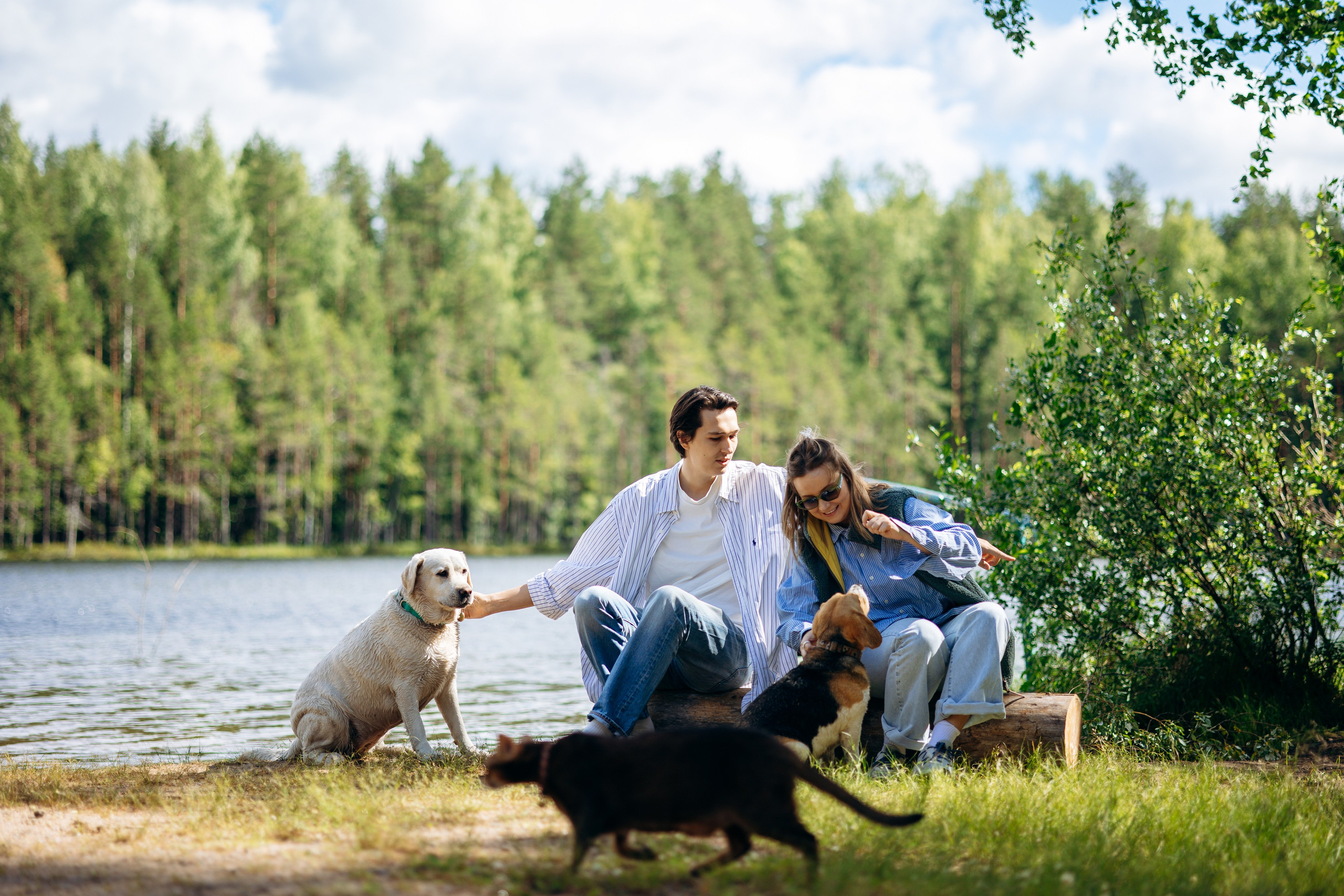 Котофеи и их семья. Фотограф — Анималист | Санкт-Петербург