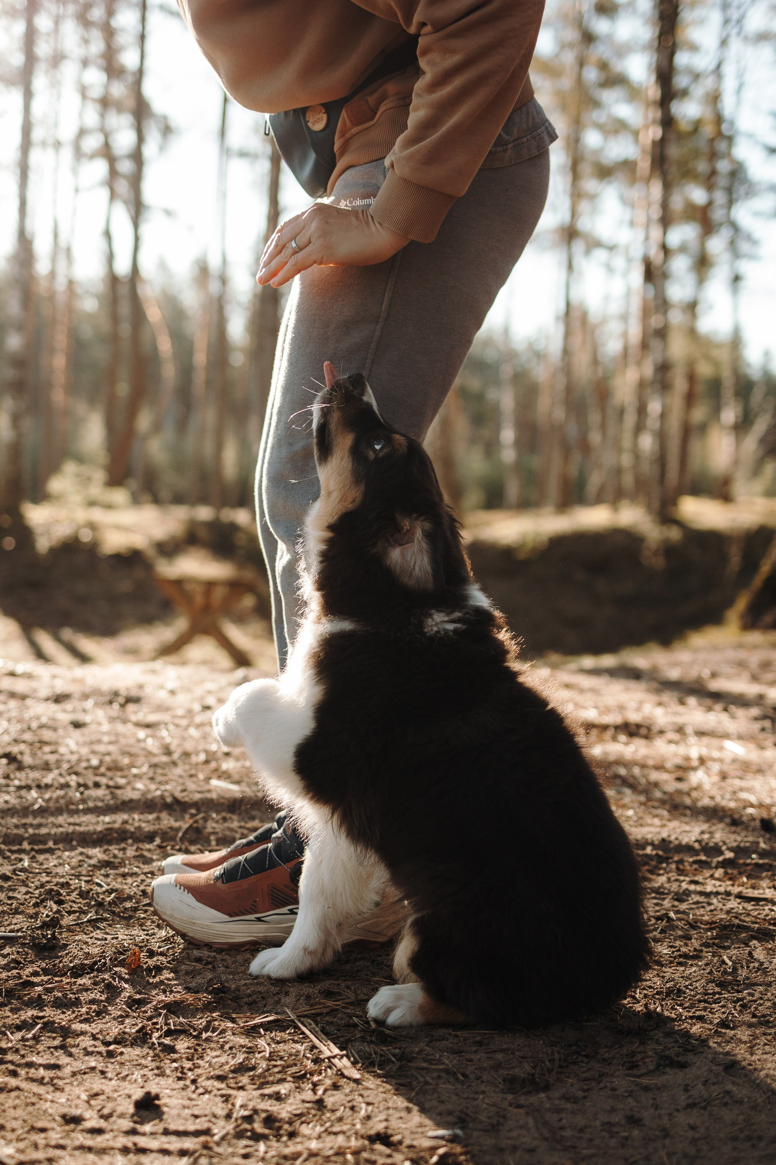 Ира и Шмель. Фотограф — Анималист | Санкт-Петербург