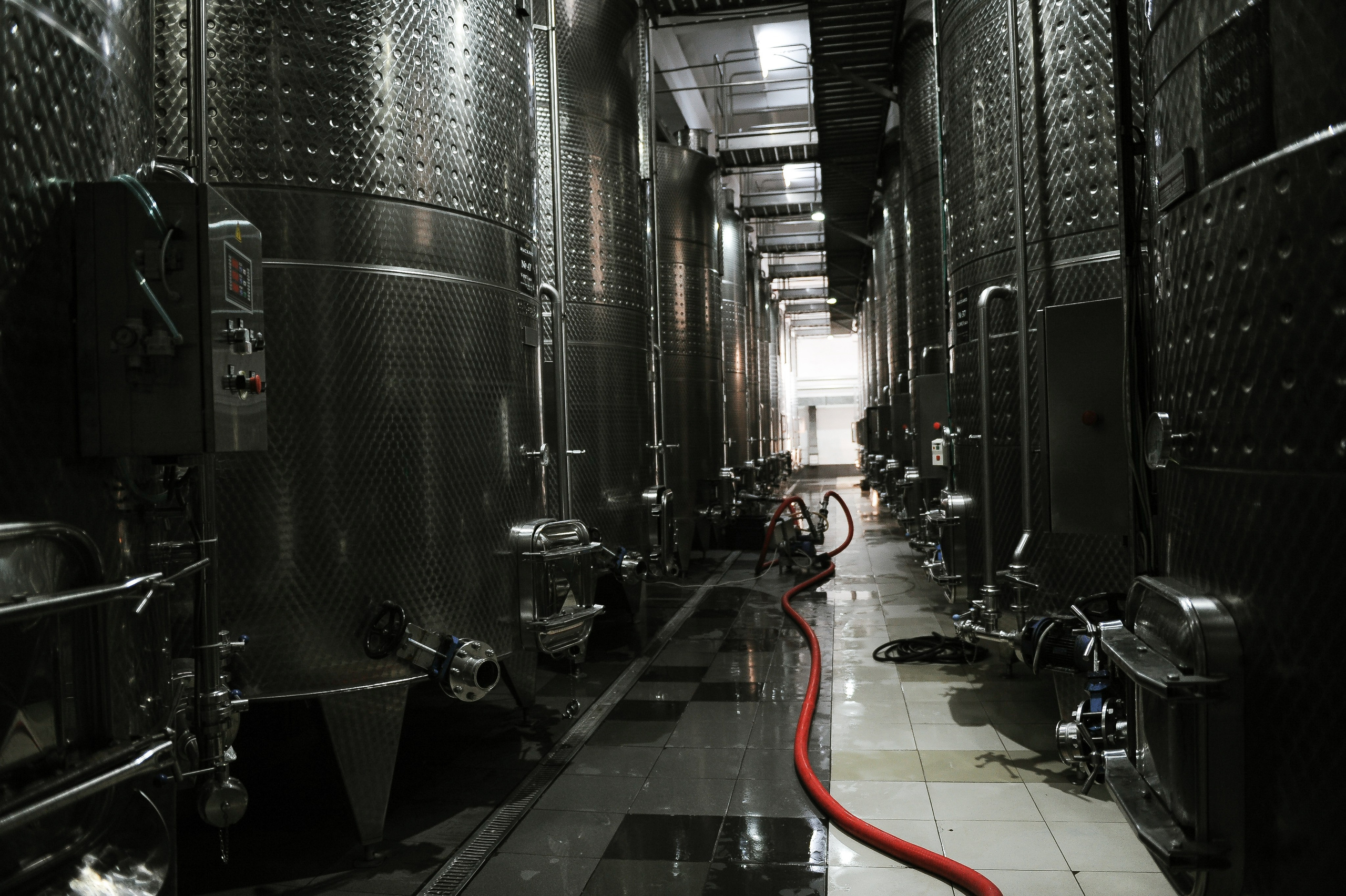 Мысхако. Фотограф, визажист. Москва