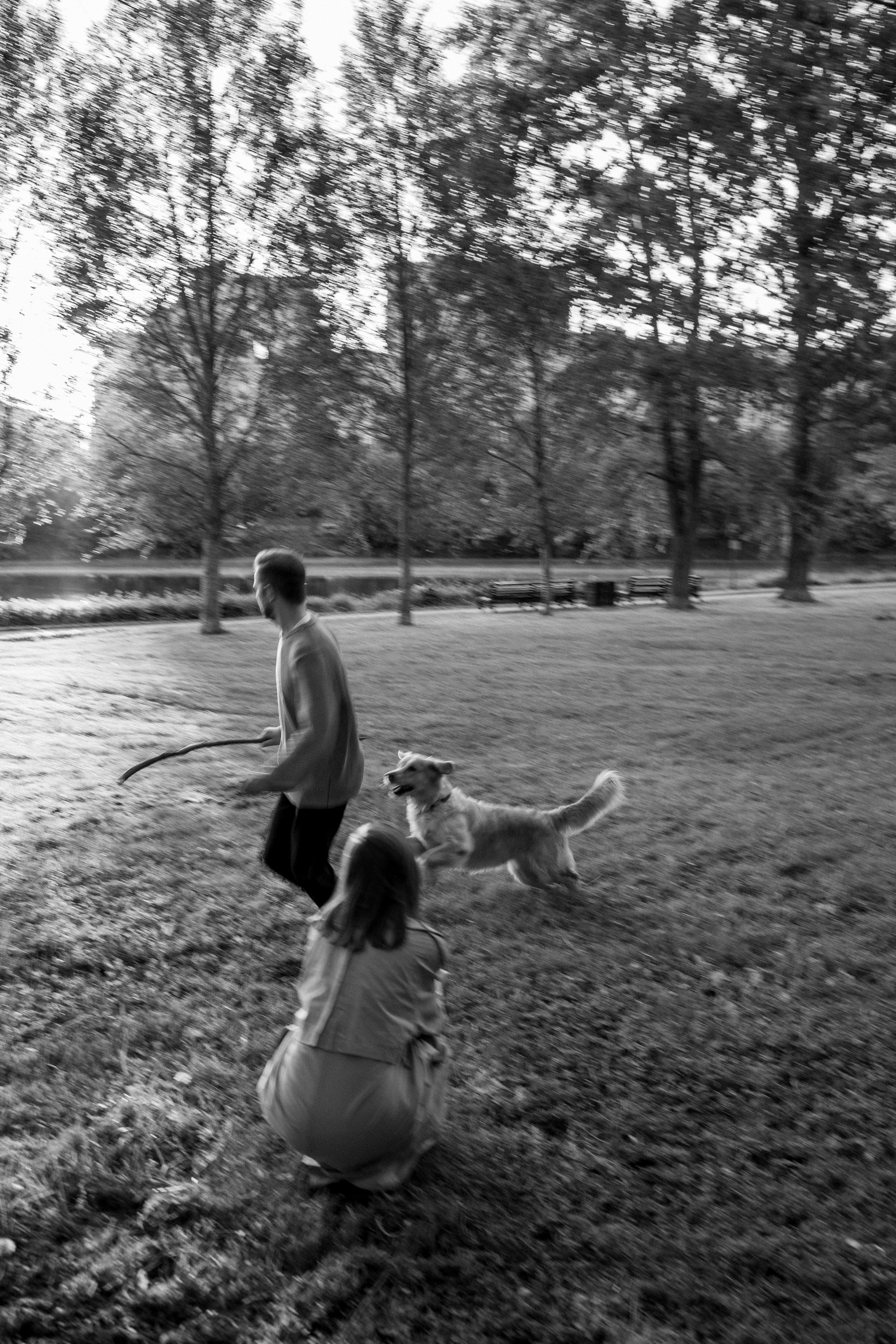 Пенни и ребята. Фотограф — Анималист | Санкт-Петербург