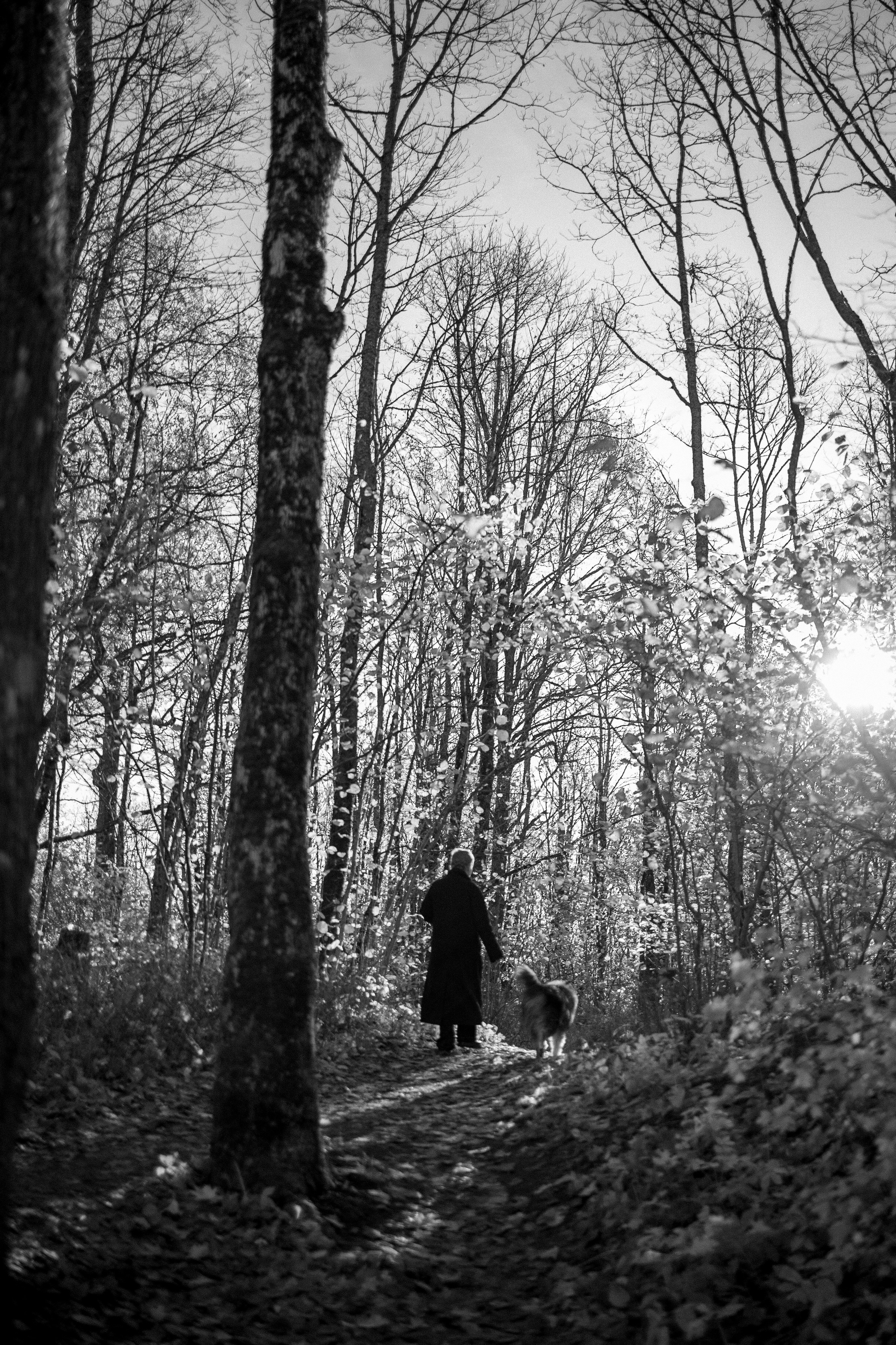 Ия и Барт. Фотограф — Анималист | Санкт-Петербург