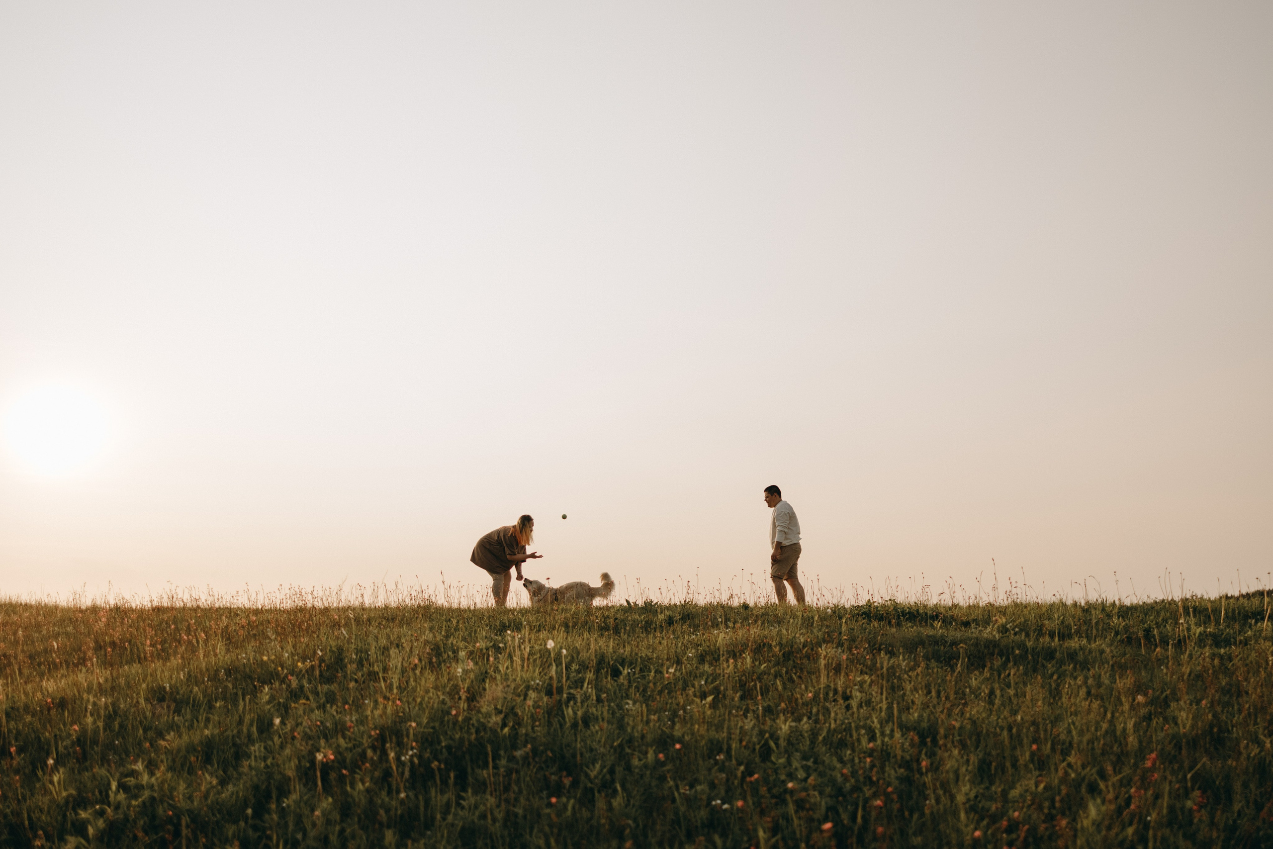 Милка и ребята. Фотограф — Анималист | Санкт-Петербург