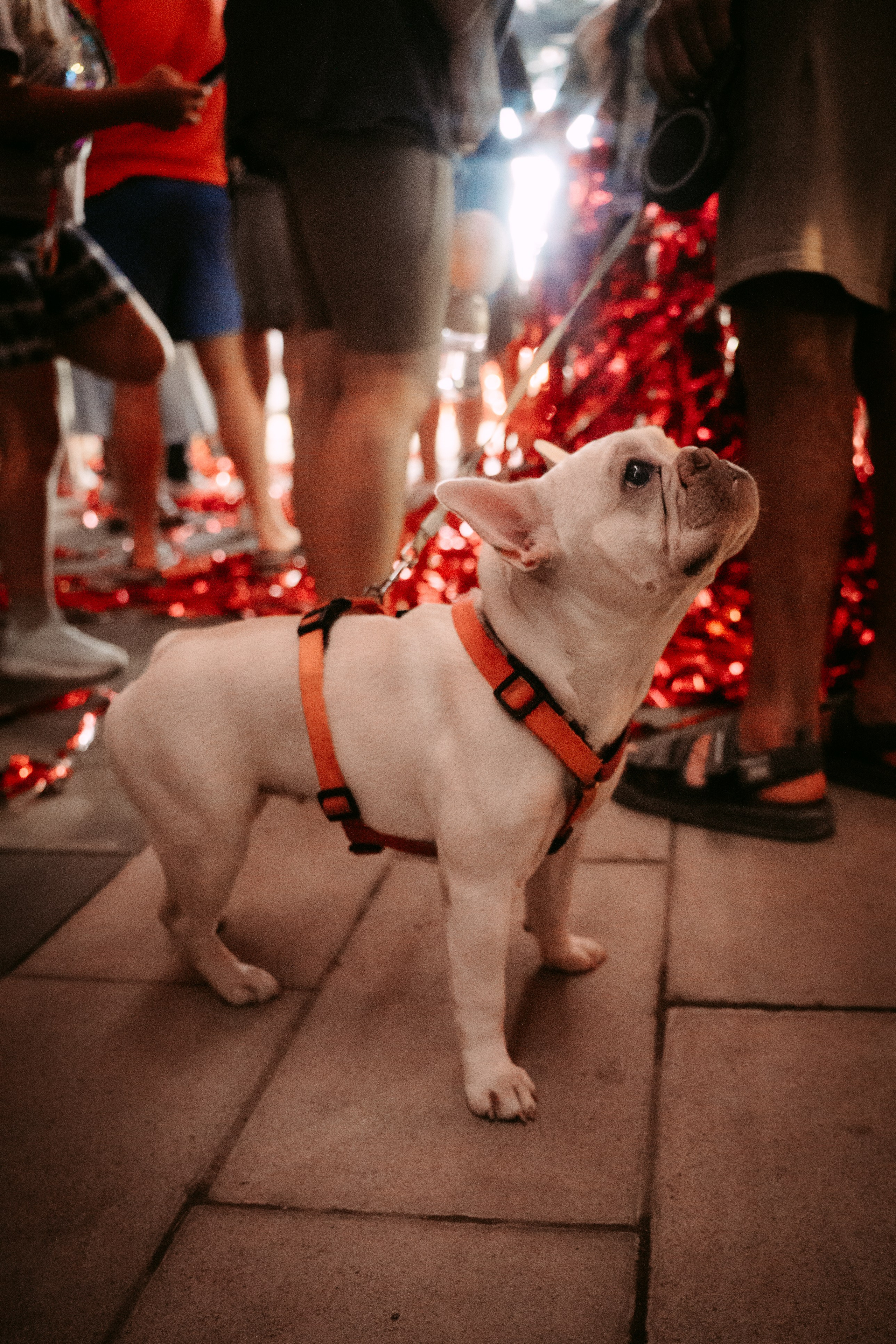 День рождения Арт-центра. Главная