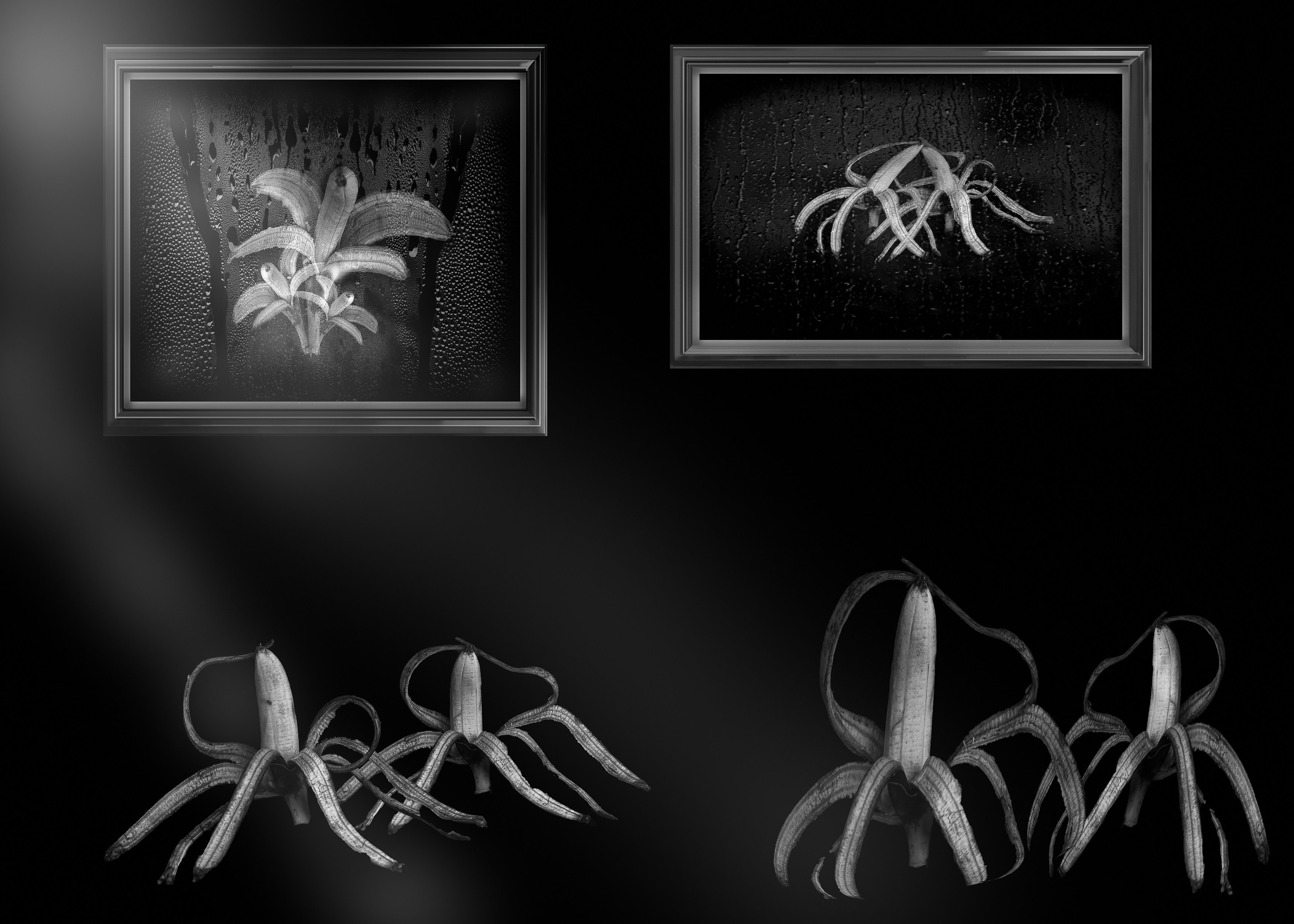 Какждый видет по своему. Медиапродюсер, фотограф в Минеральных Водах —Виктор Холодов