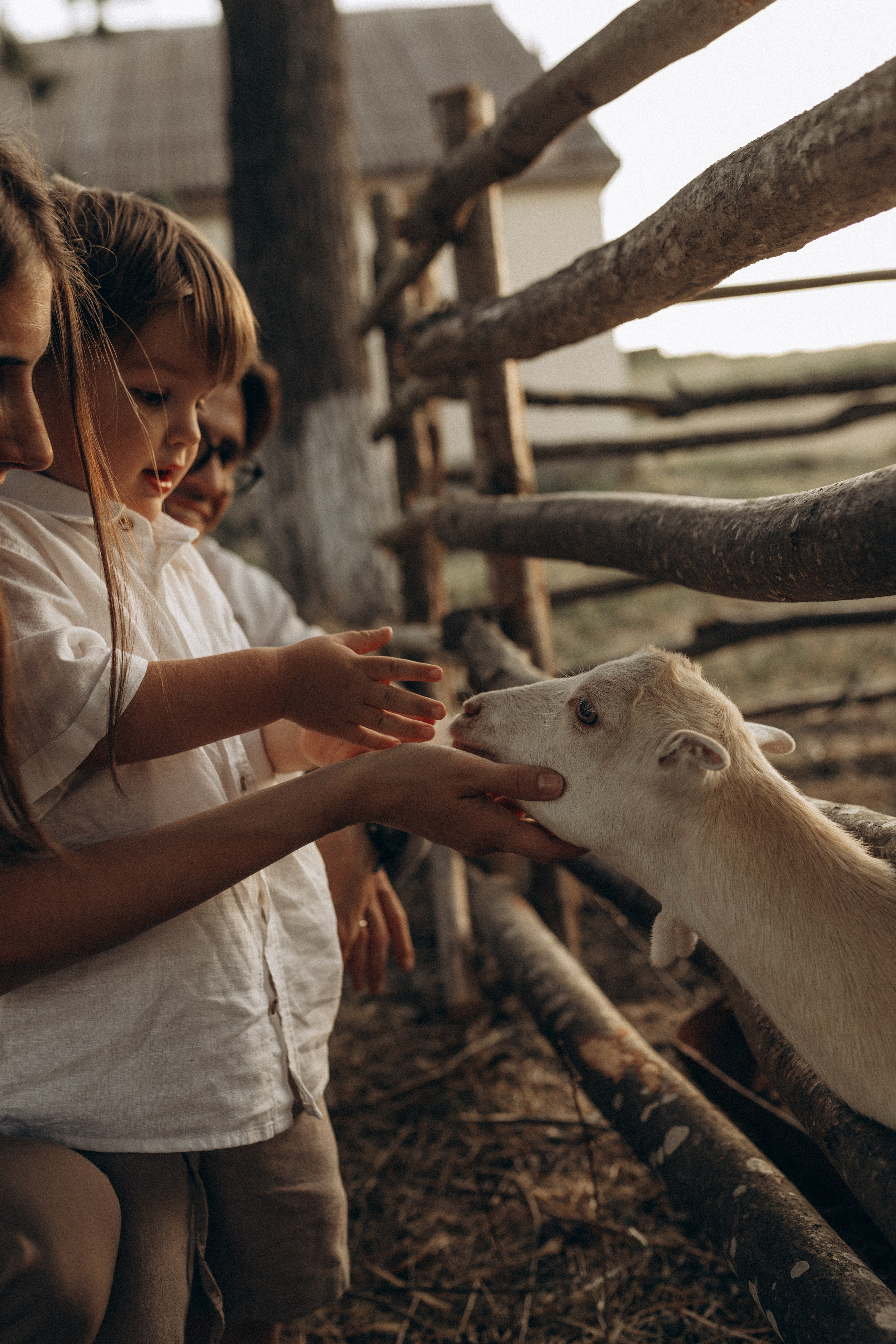 Миша Таня и Лев на ферме. Семейный фотограф в Новороссийске и Анапе Александра Яковлева
