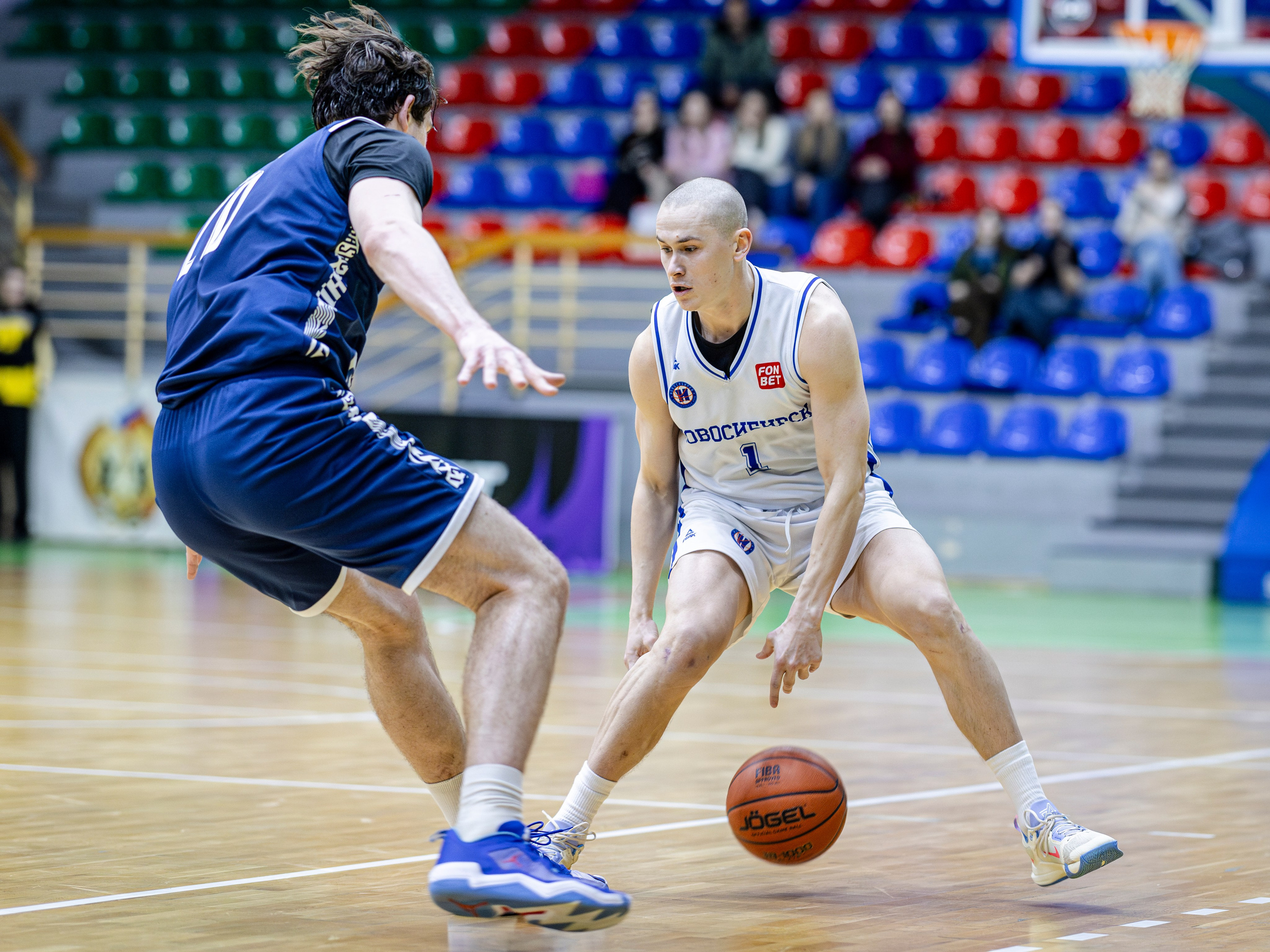 БК Новосибирск. Bertran Ordo